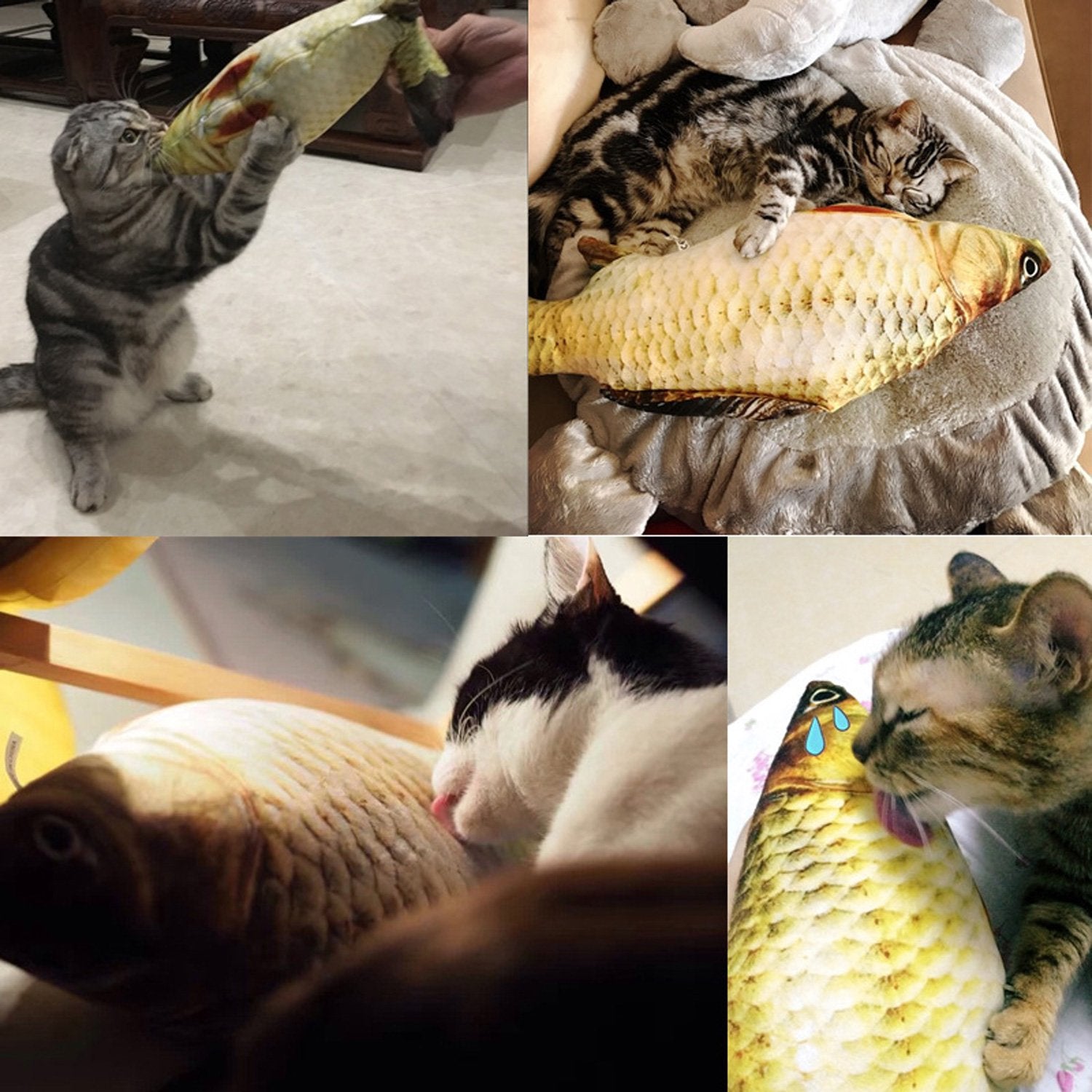 Ktclcatf Catnip Toys Set Simulation Fish Shape Doll Interactive Pets Pillow Chew Bite Supplies For Cat/Kitty/Kitten Fish Flop Ca