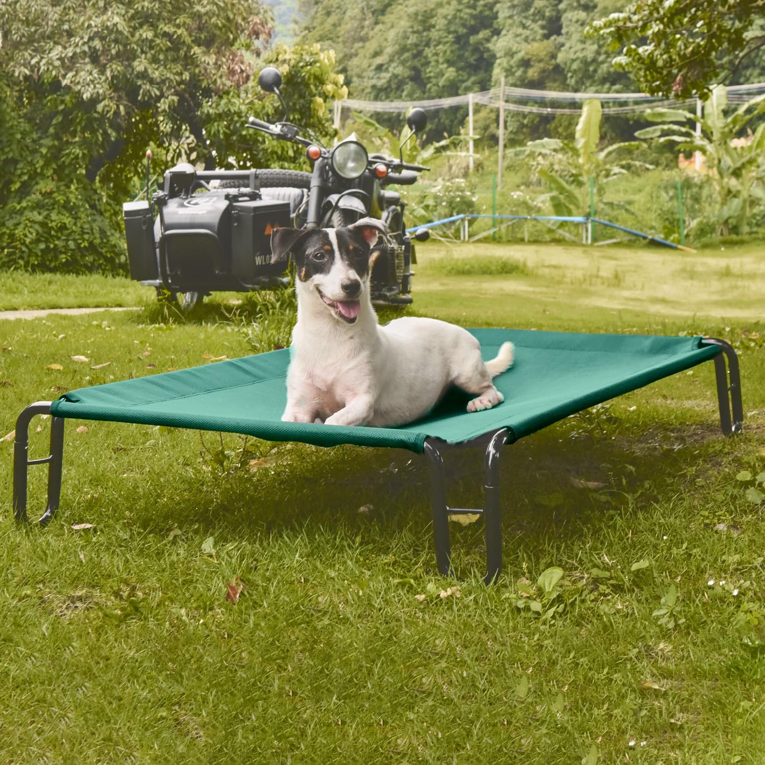 pettycare Elevated Outdoor Dog Bed - Waterproof, Cooling Mesh Cot for Medium Dogs, 35x25.6x8 inches, Green, Up to 40 lbs