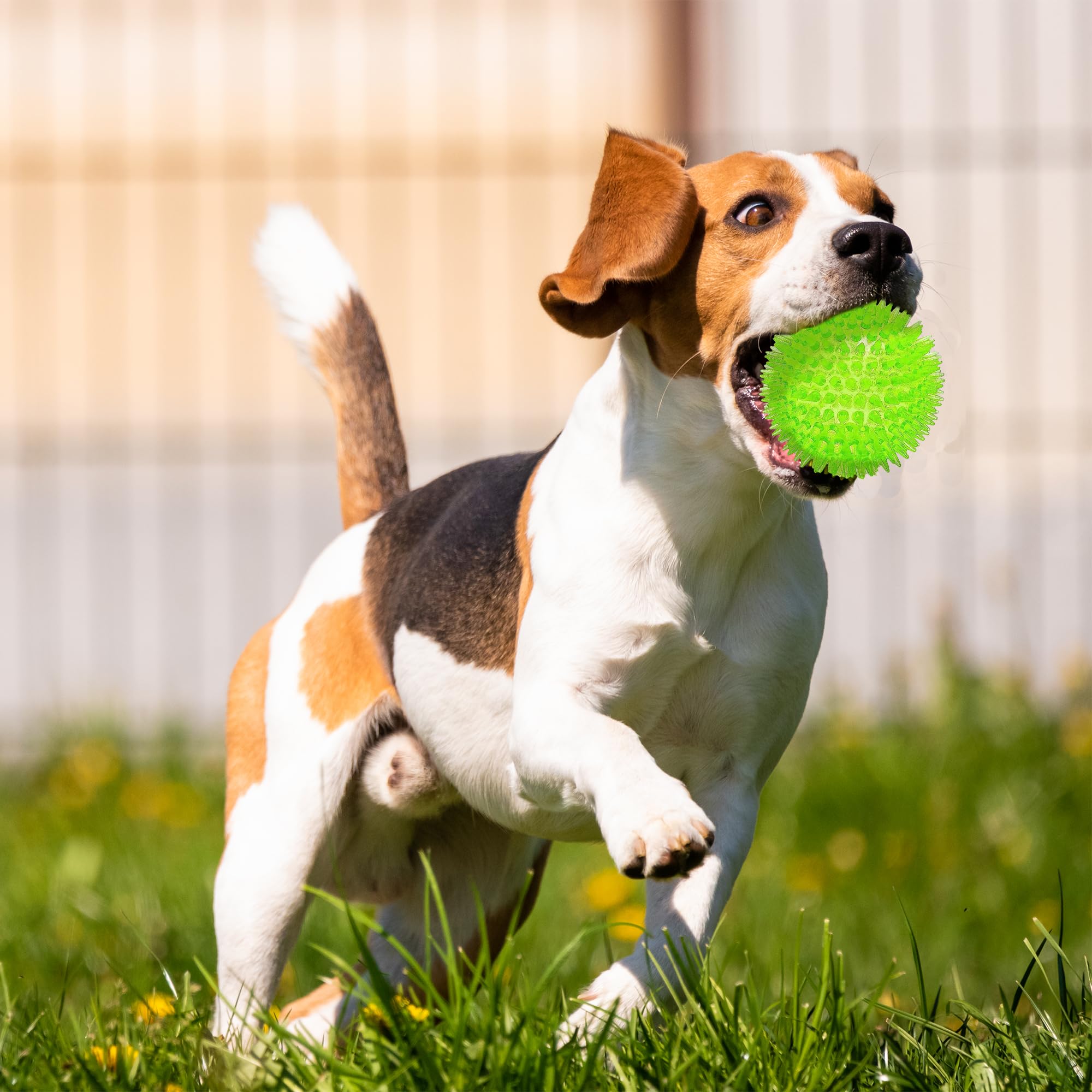 Ousiya 3.5    Squeaky Dog Toy Balls (6 Colors) Dog Toys Spikey Dog Ball for Aggressive Chewers Heavy Duty Teething Large Medium