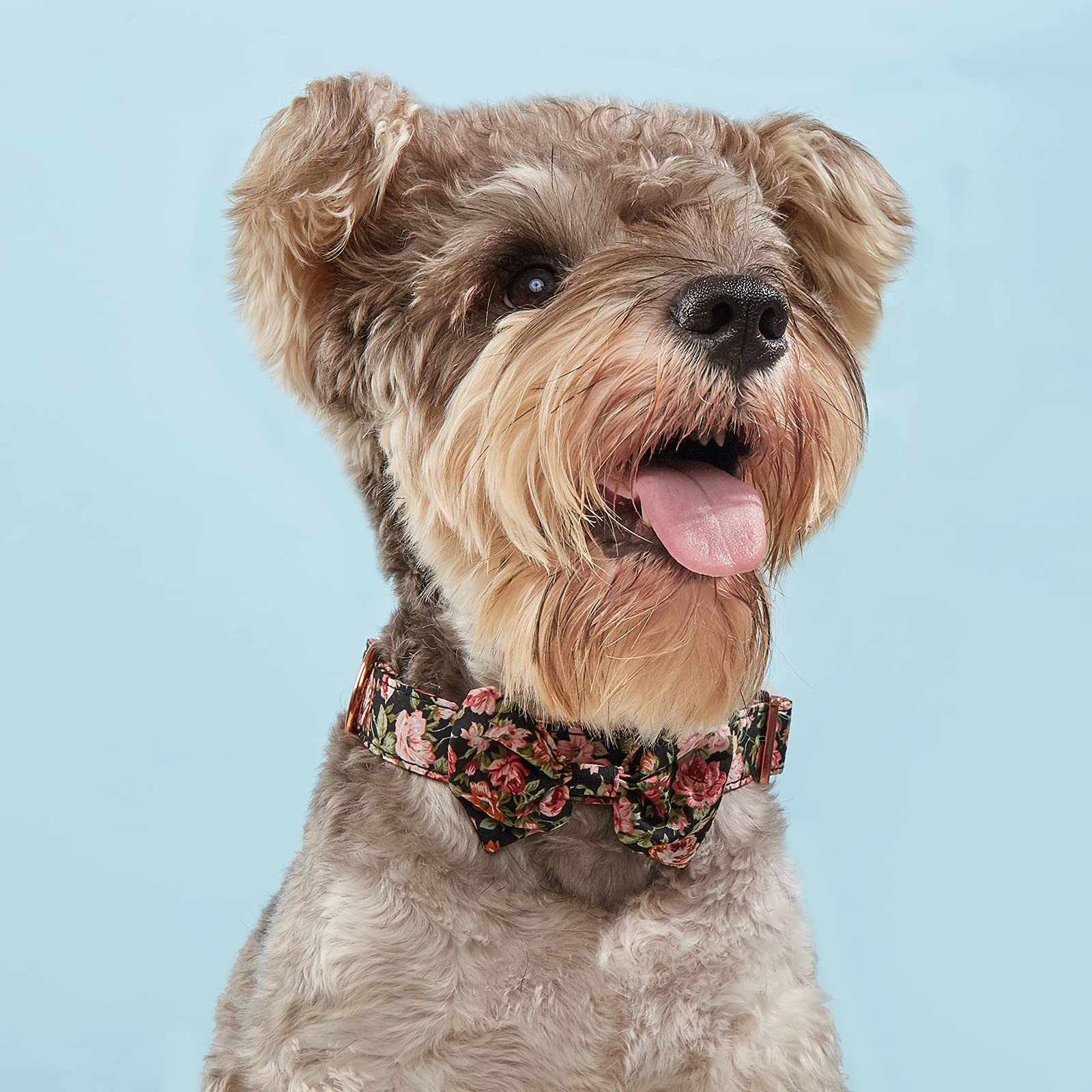 Dog Collar Adjustable With Detachable Bowtie/Flower For Large Dog,Girl Dog Collar Boy Dog Pet Collars With Safety Buckle