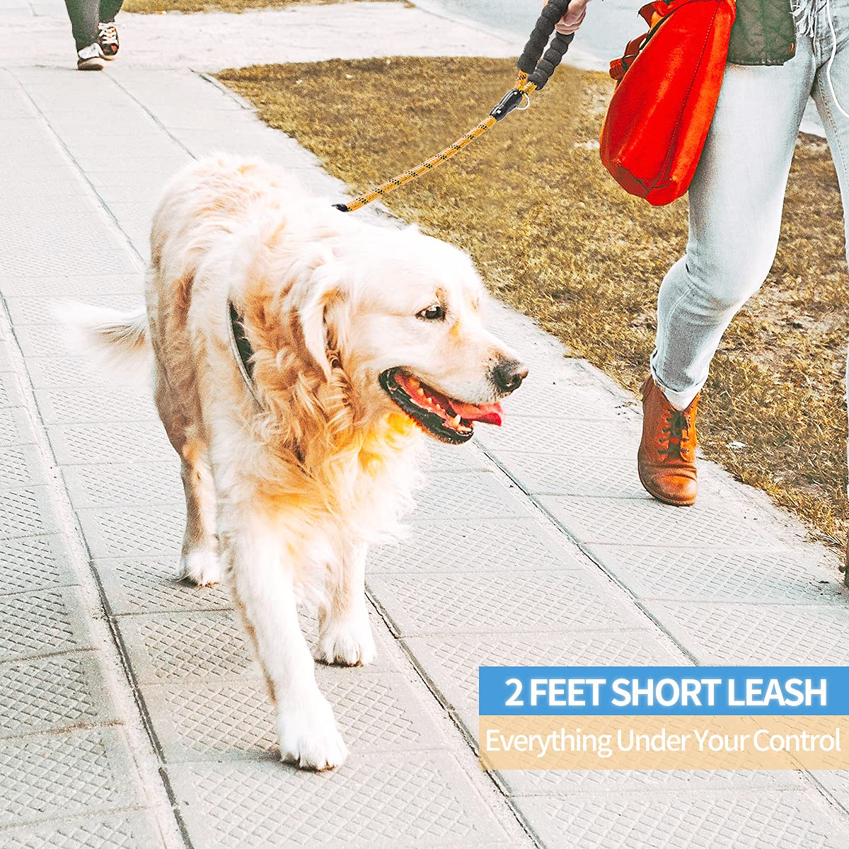 Baapet 2/4/5/6 Ft Dog Leash With Comfortable Padded Handle And Highly Reflective Threads For Small Medium And Large Dogs (2Ft-1/2'', Orange)