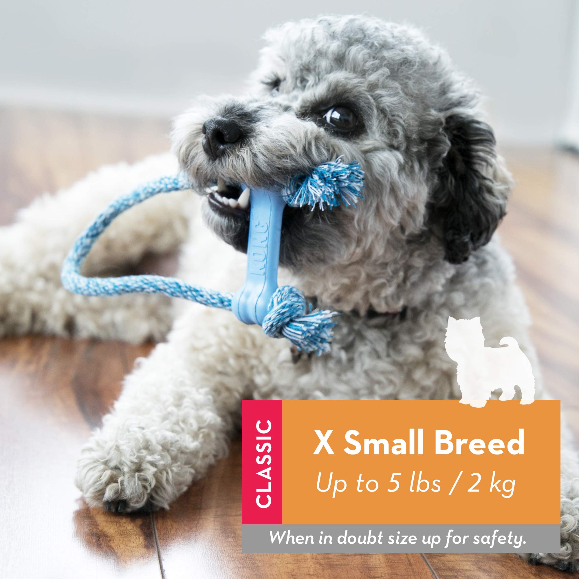 Kong Puppy Goodie Bone With Rope - Natural Rubber Bone With Cotton Rope - Teeth Cleaning Chew Toy For Growing Puppies - For Xs Puppies - Blue