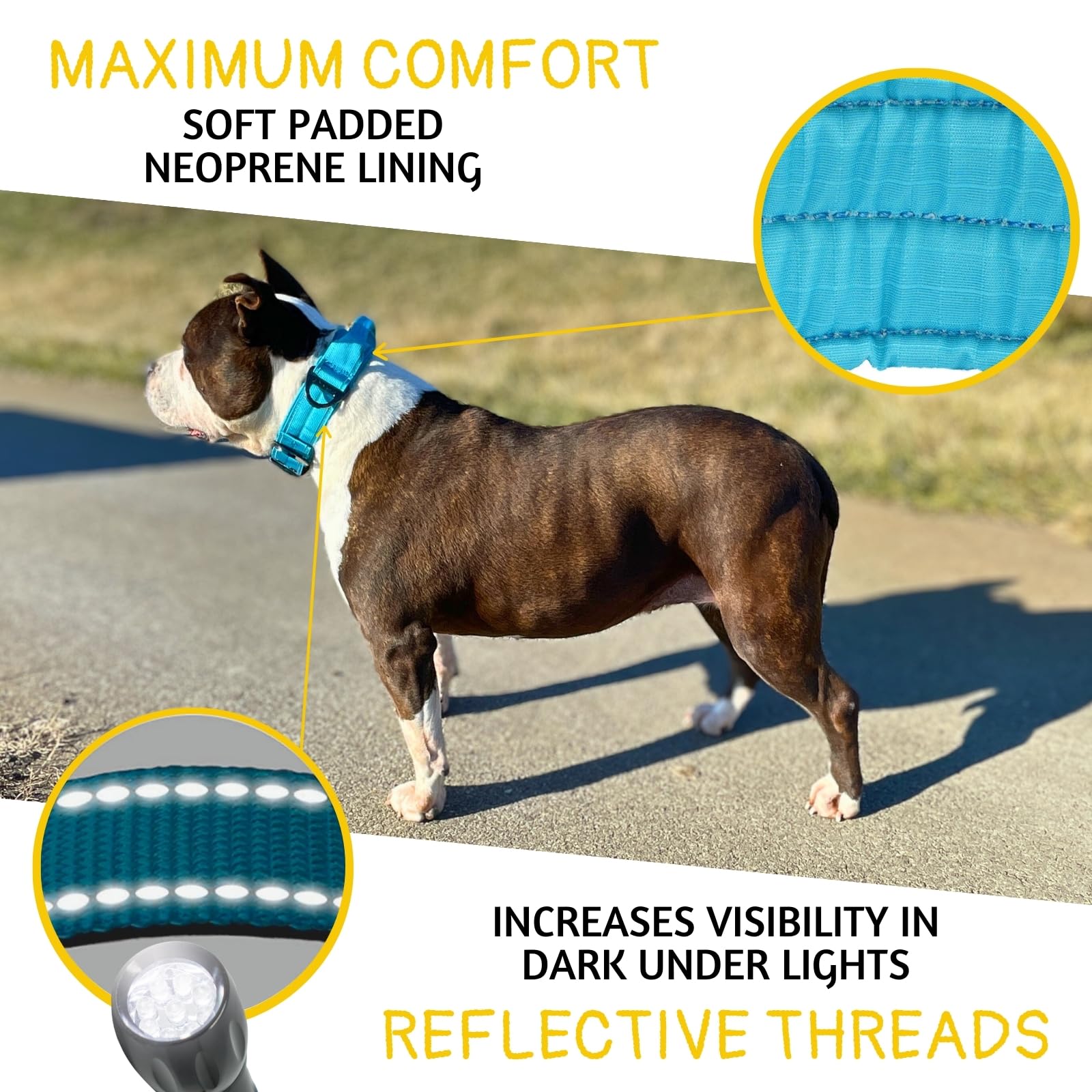 Adityna Heavy Duty Dog Collar For Medium Dogs - Reflective Blue Collar With Handle For Training, And Walking - Wide, Thick, Tact