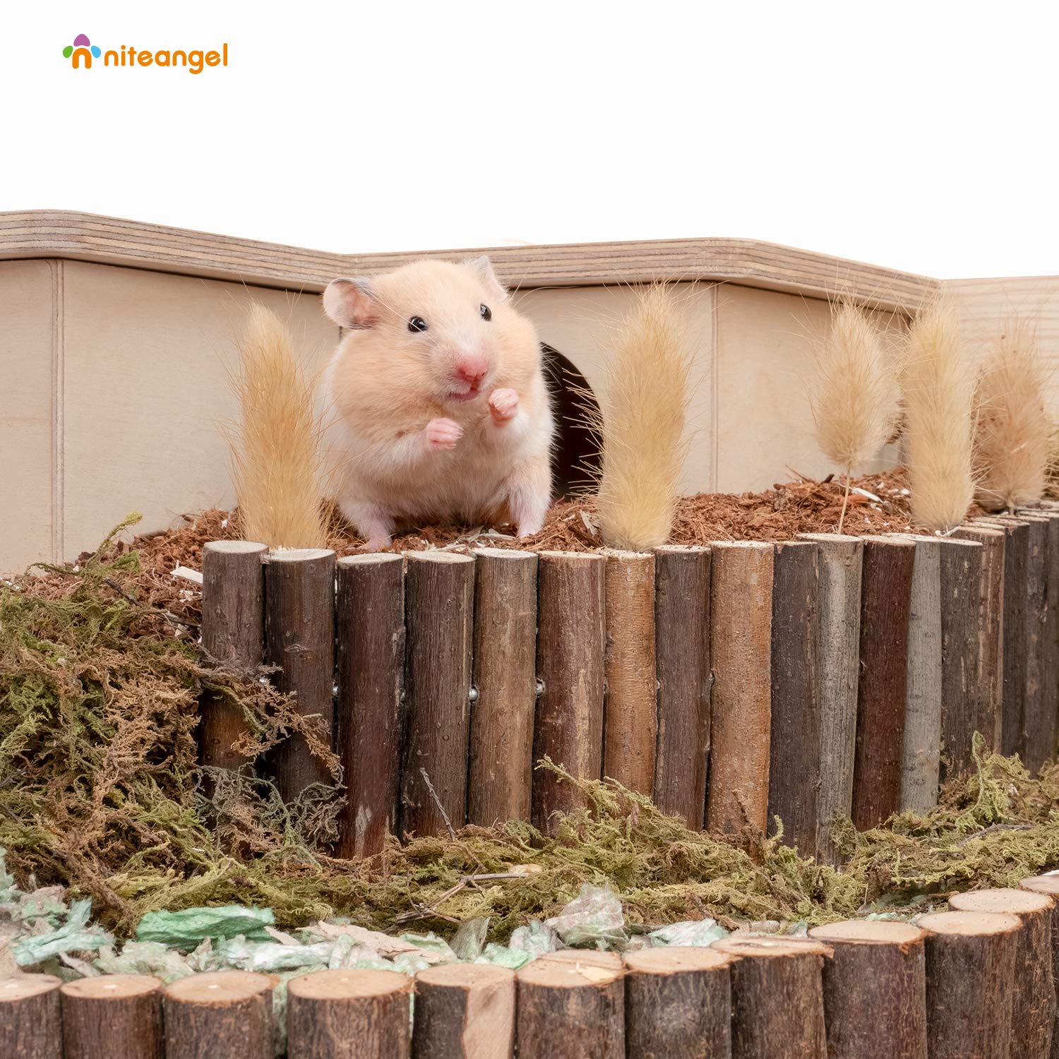 Niteangel Wooden Ladder Bridge, Hamster Mouse Rat Rodents Toy, Small Animal Chew Toy (11.8' X 5.9')