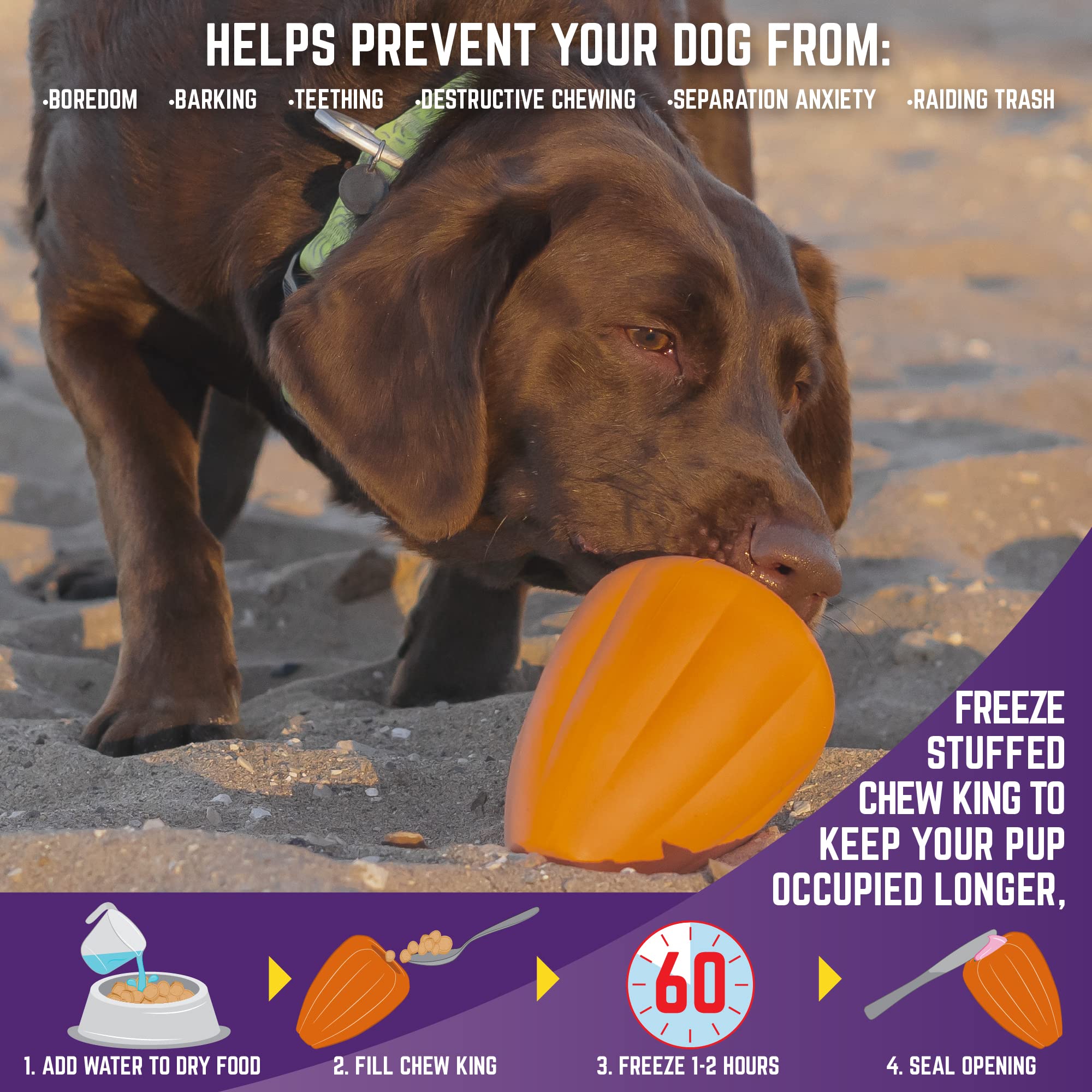 Chew King Premium Treat Dog Toy, Extremely Durable Natural Rubber Toy, Bacon Flavored Dog Toy, Orange, X-Large