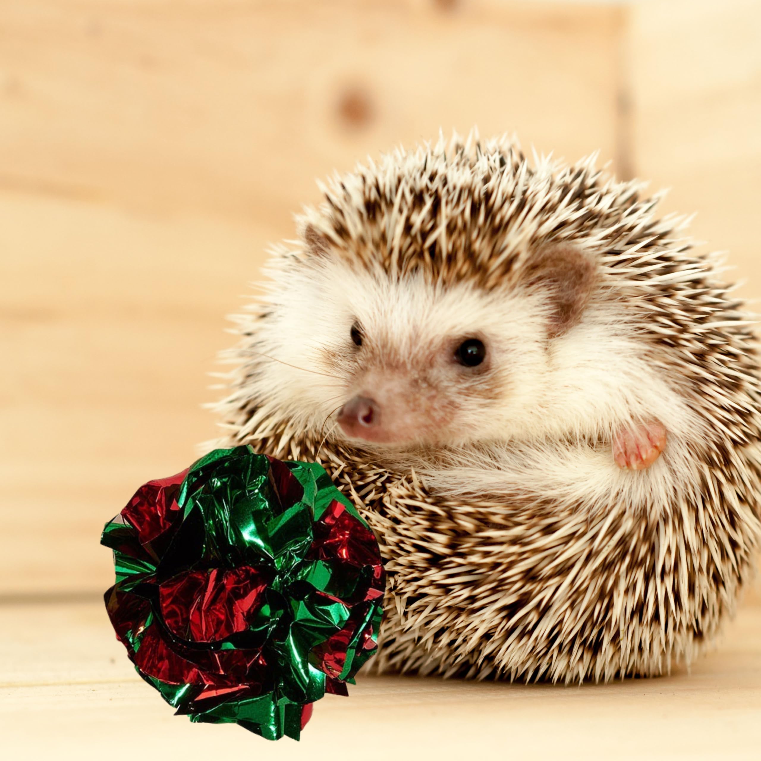 4 Pcs Toys For Hedgehogs Small Animal Accessories, Hedgehog Toys For Cage And Bell Ball, Hedgehog Enrichment Toy, Funny Balls To