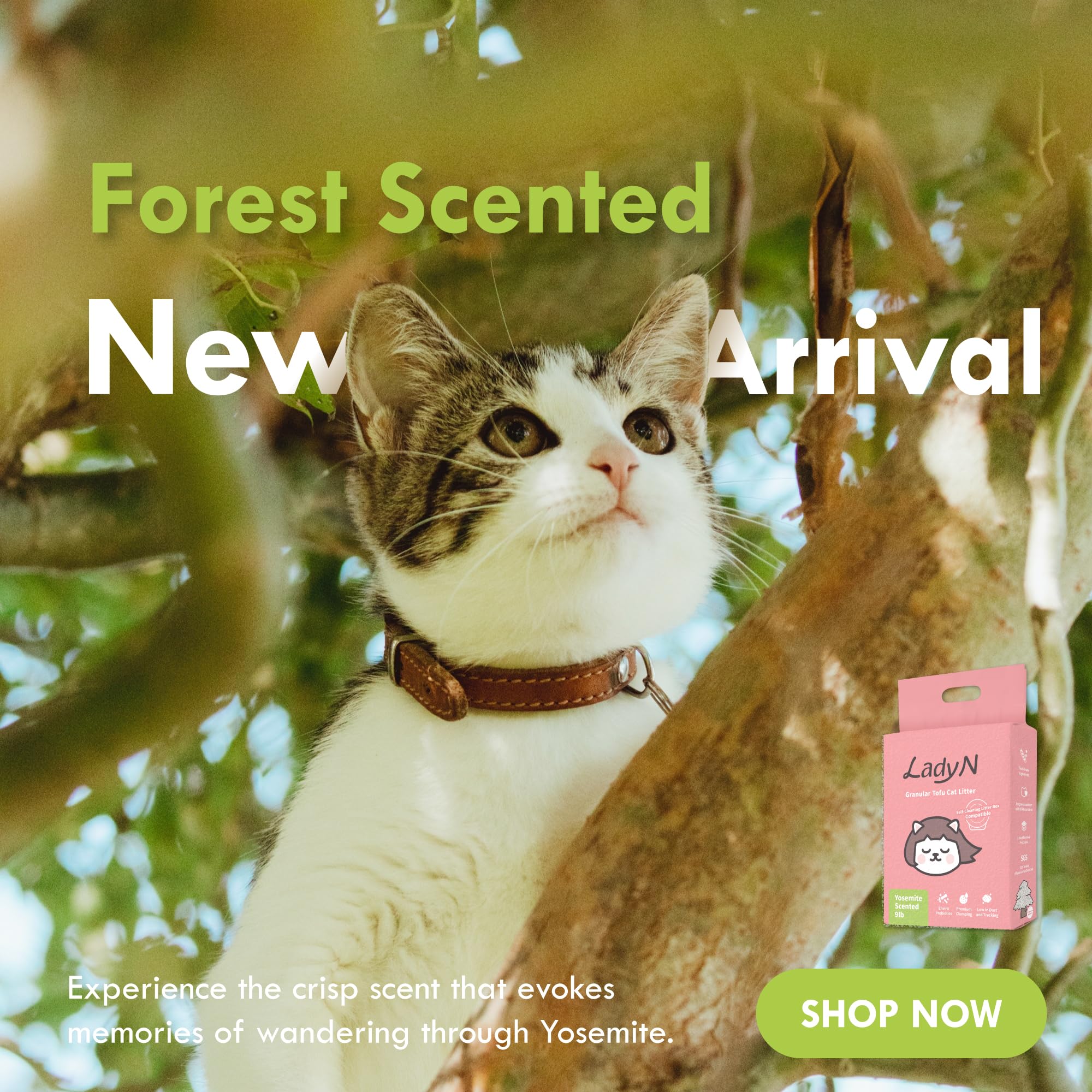 Lady N Granular Tofu Cat Litter Mini-Pellet Compatible With Automatic Self-Cleaning Cat Litter Box, Premium Clumping Ultra Absor