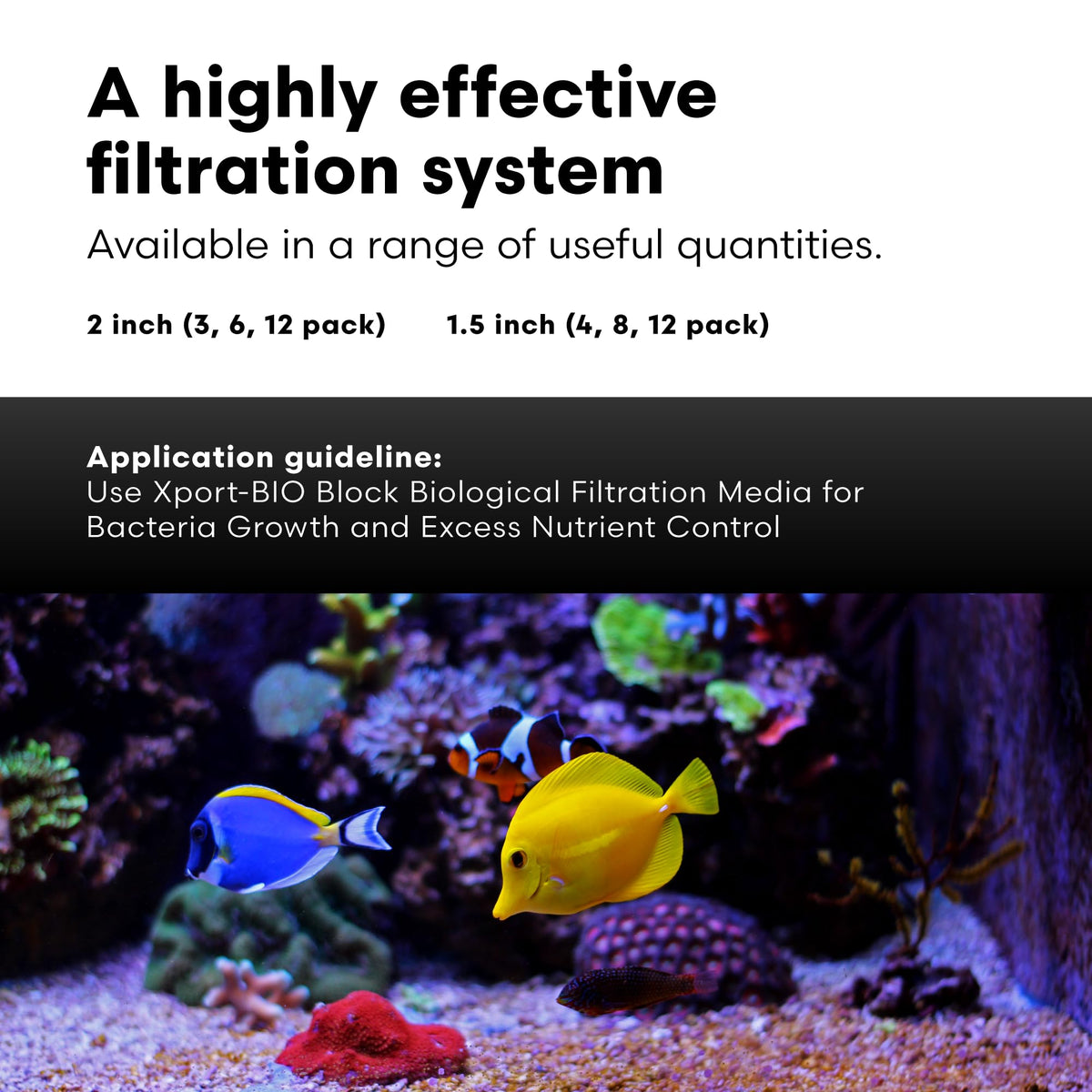 Brightwell Aquatics - Xport-BIO Block Aquarium Filter - Biological ...