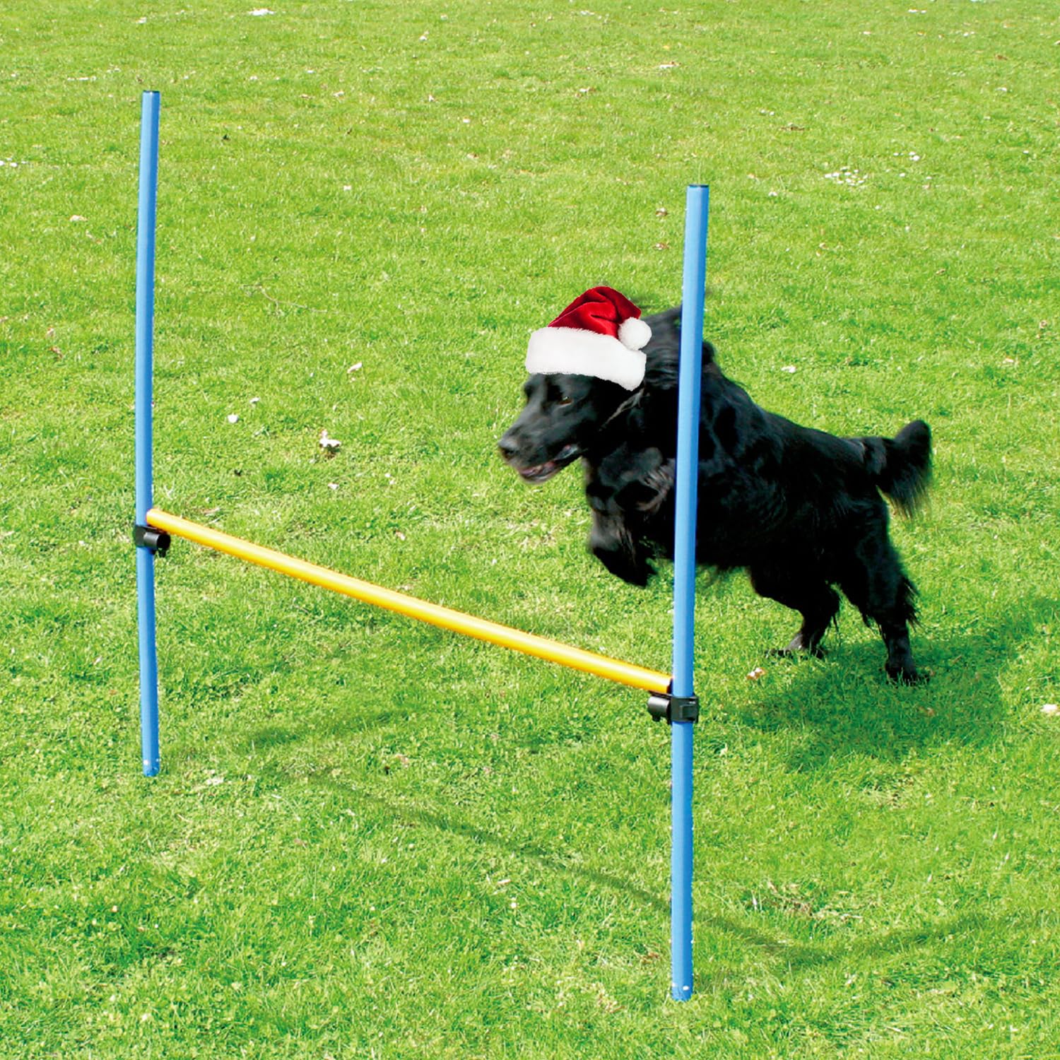 Pawise Dog Training Exercise Equipment,Dog Agility Training Equipment,Dog Jump Hurdles Training Equipment,Playground Equipment Outdoor