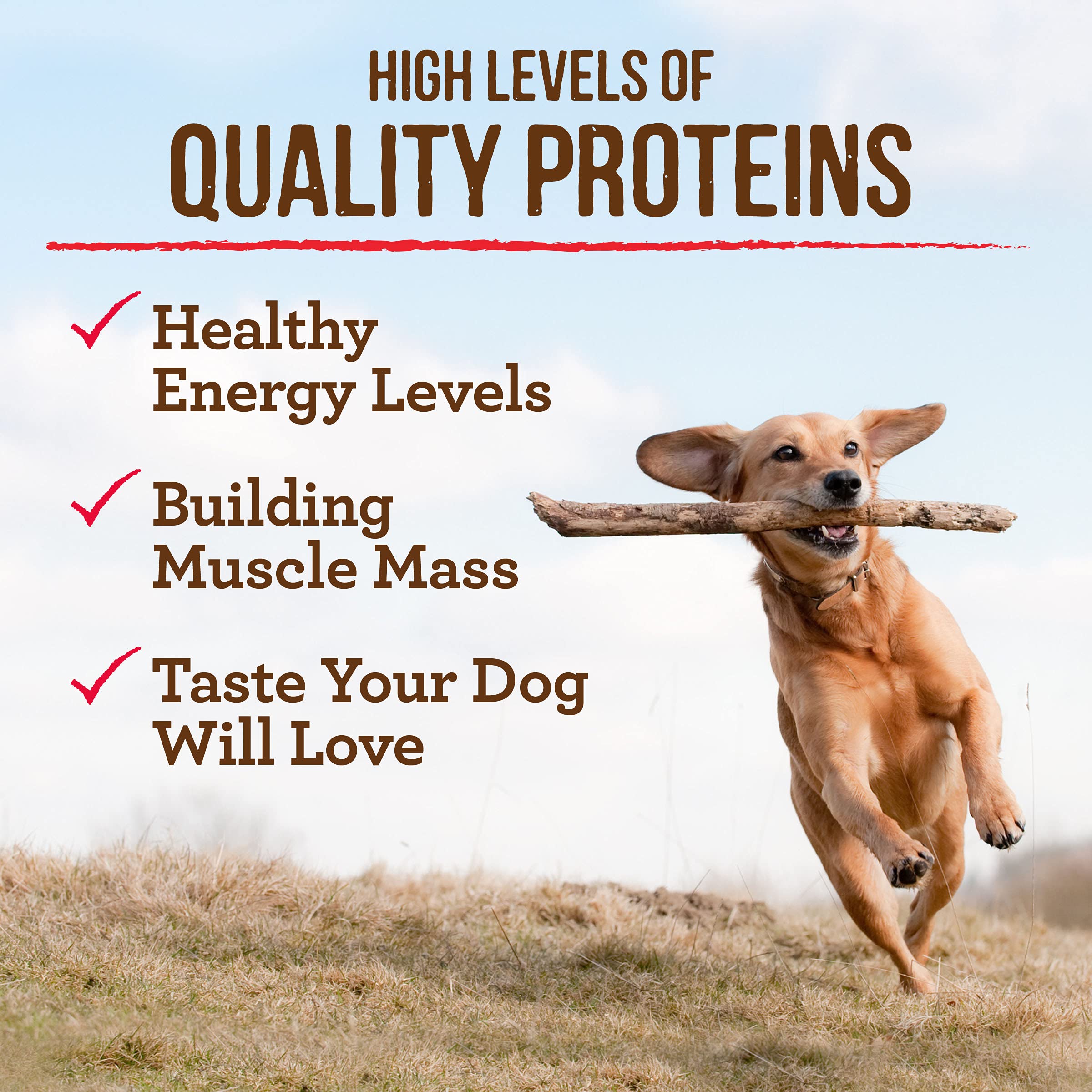 Merrick Premium Grain Free Dry Puppy Food, Wholesome and Natural Kibble with Real Chicken and Sweet Potato - 10.0 lb. Bag