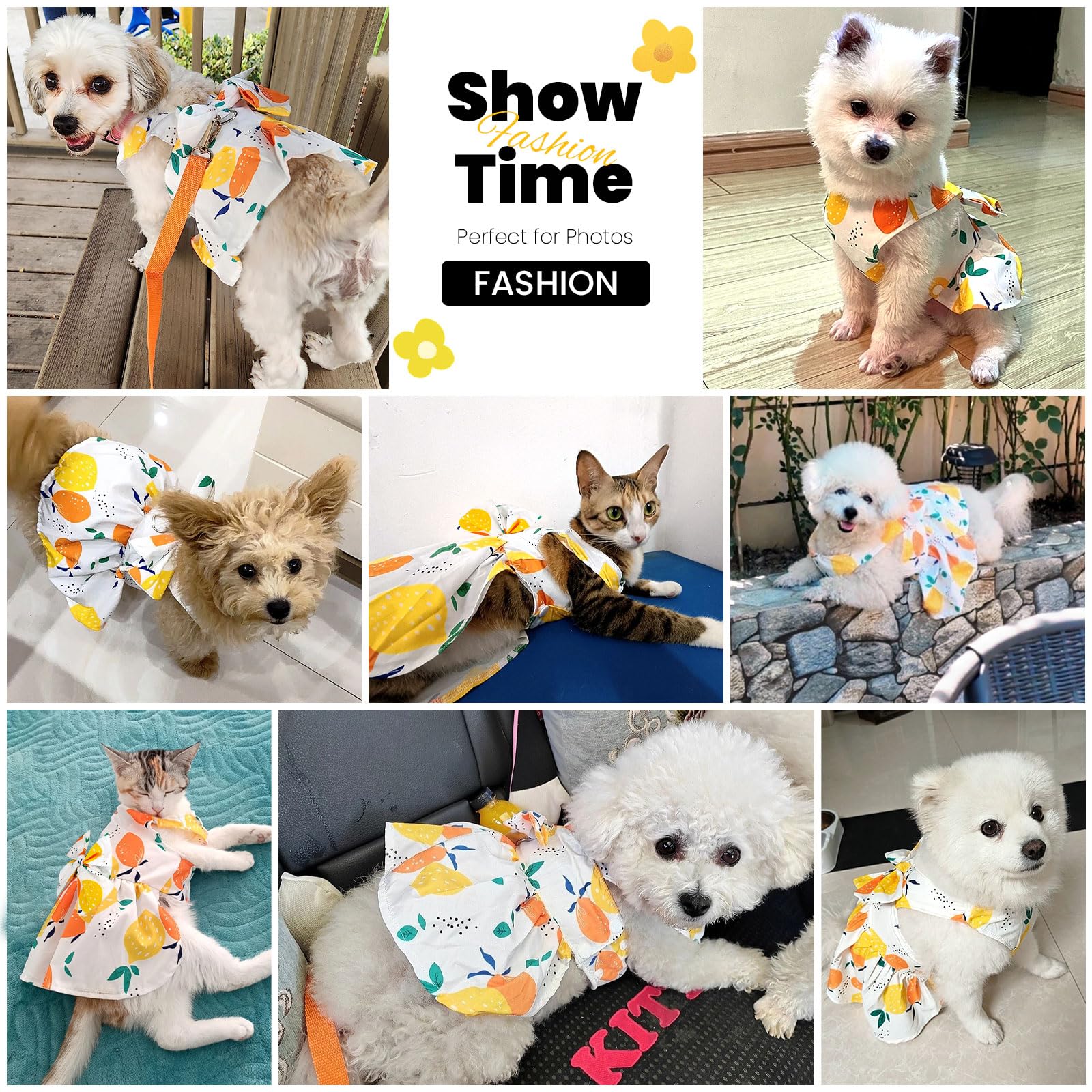 Abrrlo Cute Dog Dress Small Dog Clothes For Girls Female Puppy Outfits Yellow Lemon Pet Summer Clothes Bowknot Doggy Cat Princes