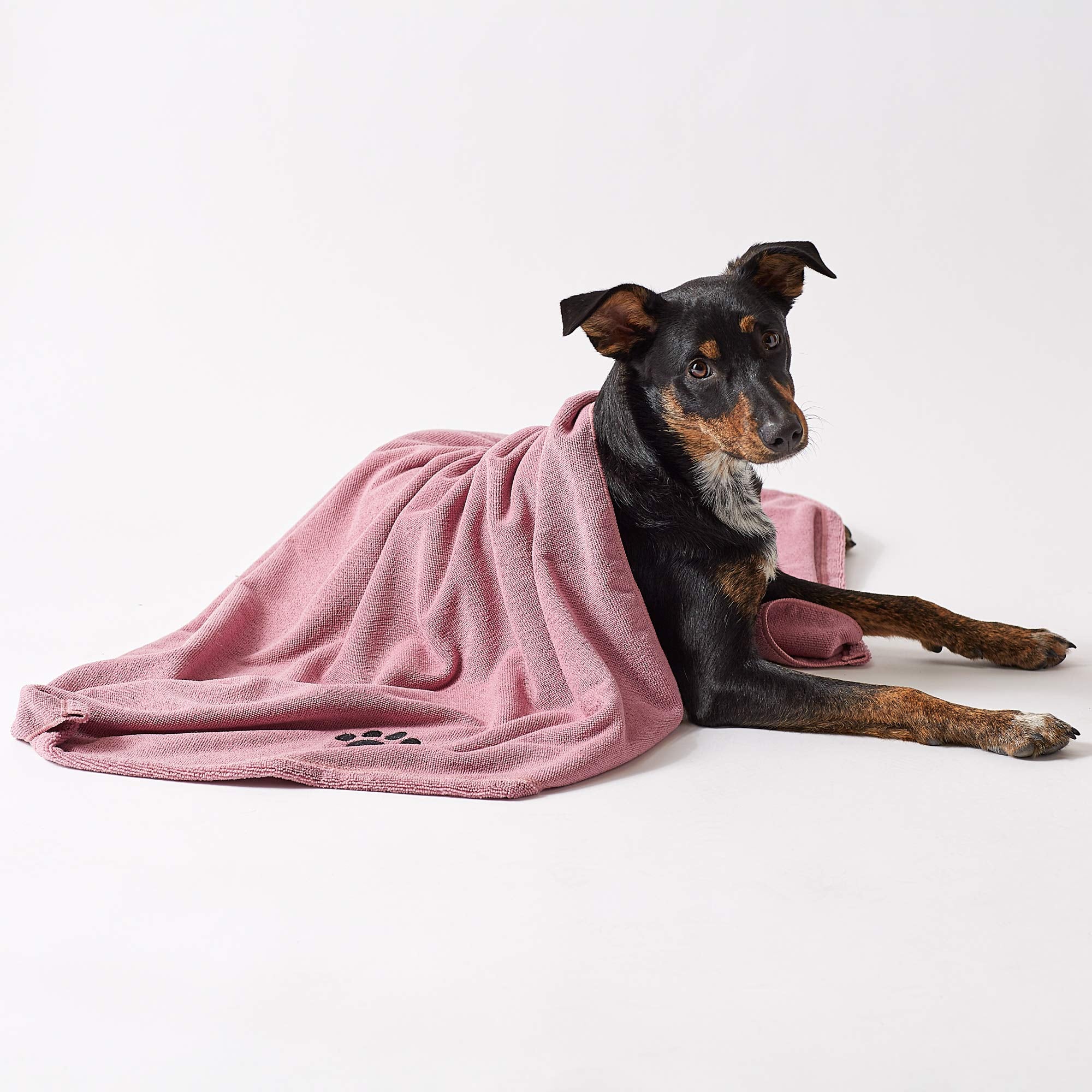 Bone Dry Pet Grooming Towel Collection Absorbent Microfiber X-Large, 41X23.5', Embroidered Rose