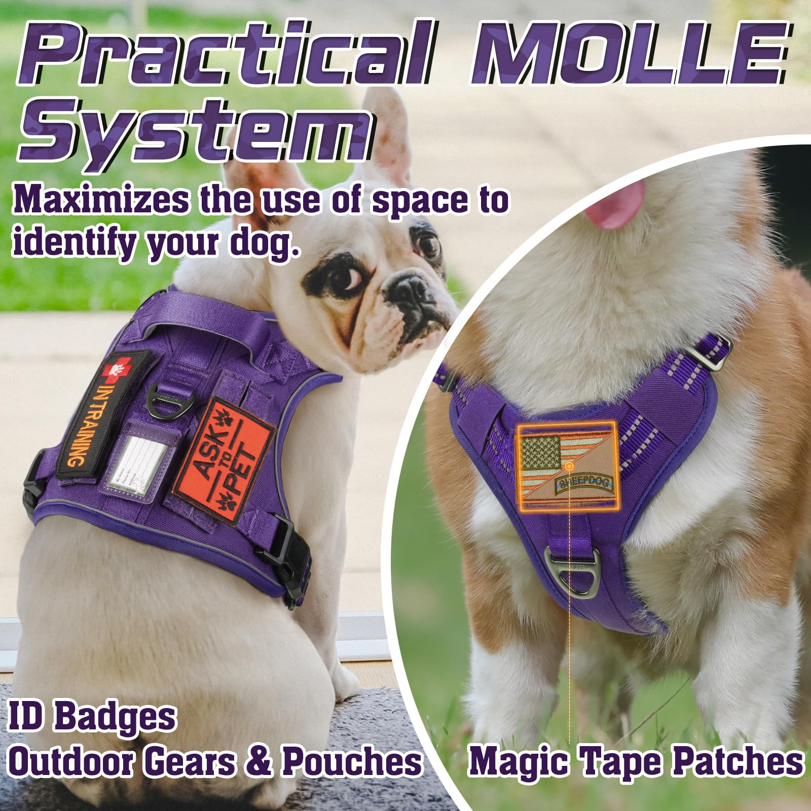 Rabbitgoo Dog Harness No Pull, Military Dog Harness Medium Sized Dog With Handle & Molle, Easy Control Service Dog Vest Harness Training Walking, Adjustable Reflective Tactical Pet Harness, Purple, M