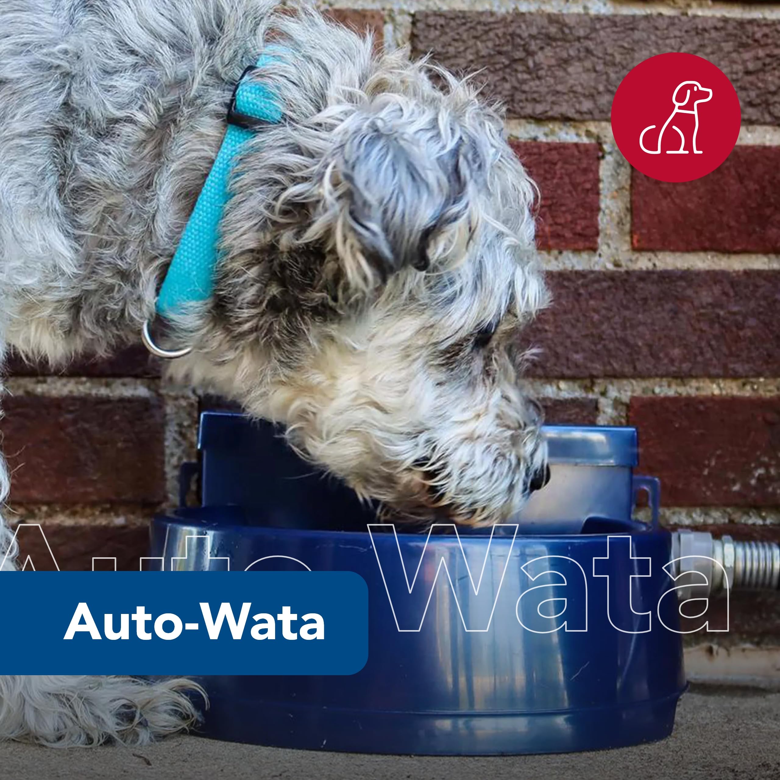 Coastal Pet Bergan Auto-Wata - Outdoor Dog & Cat Water Dispenser - Automatic Water Bowl For Pets - Made From Durable, Bpa-Free Plastic - Self-Watering Cat & Dog Bowl - Navy, 48 Ounces