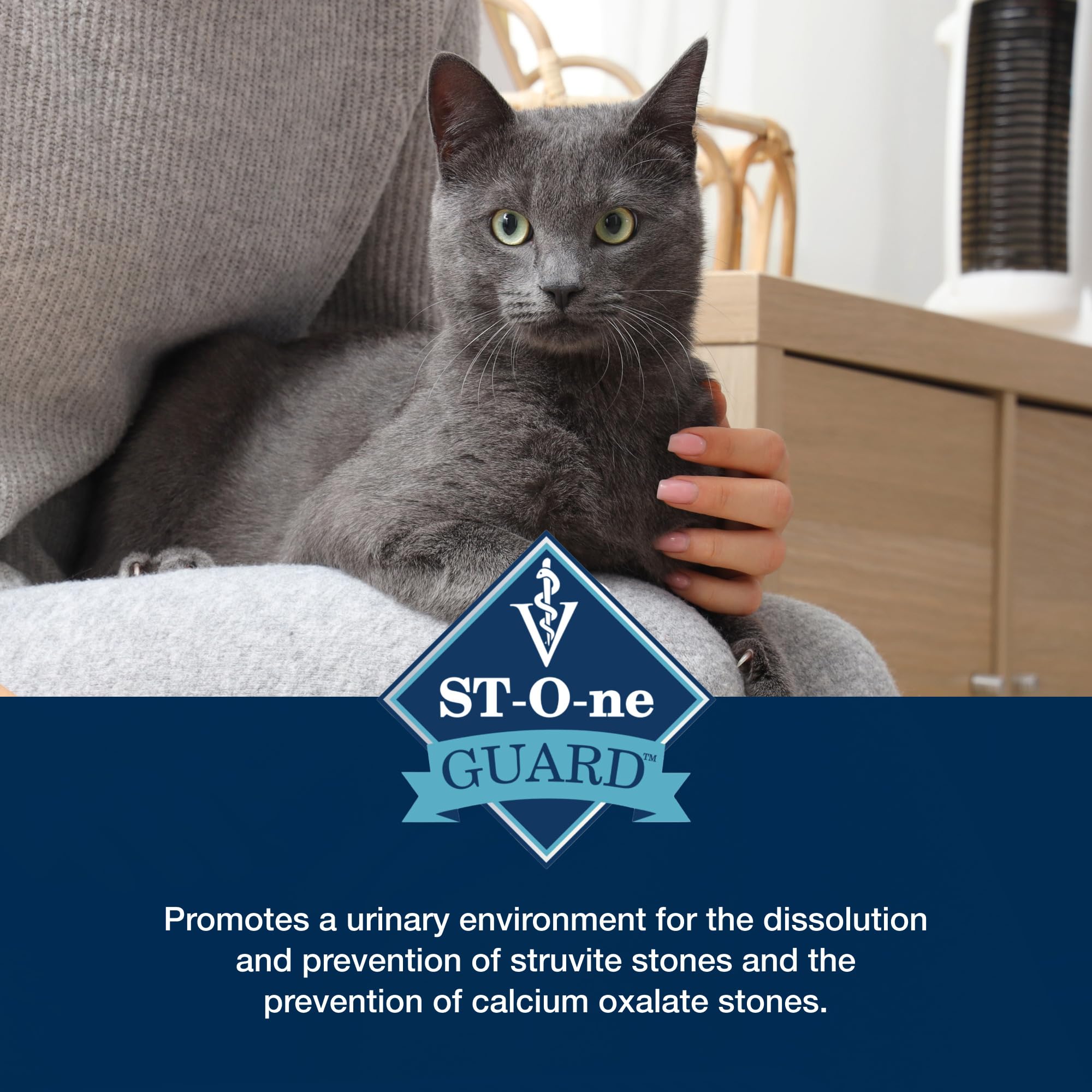 Blue Buffalo Natural Veterinary Diet HF Hydrolyzed for Food Intolerance Wet Cat Food, Veterinarians Prescription Required, Salm