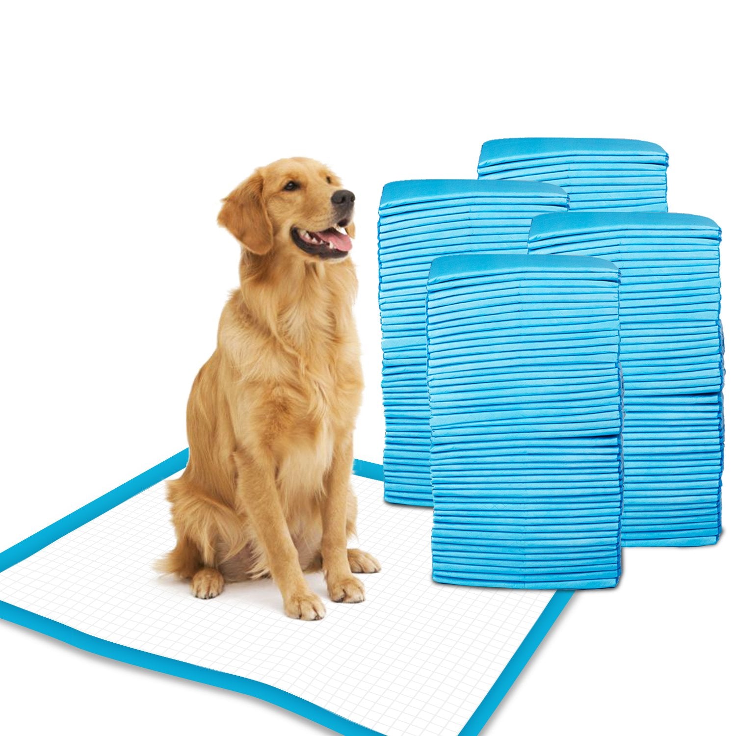 Petfamily Super-Absorbent 24 by 24 Inches Dog Training Pads - 100 Count of Pads