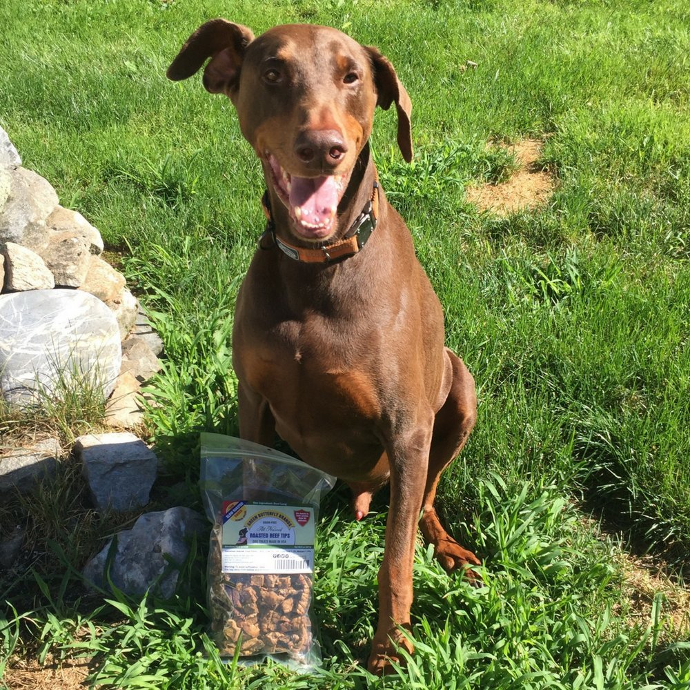 Green Butterfly Brands Premium Dog Treats Made in USA Only Natural, Meaty Beef Tips Slow Roasted, Crunchy American Beef Farm Rai