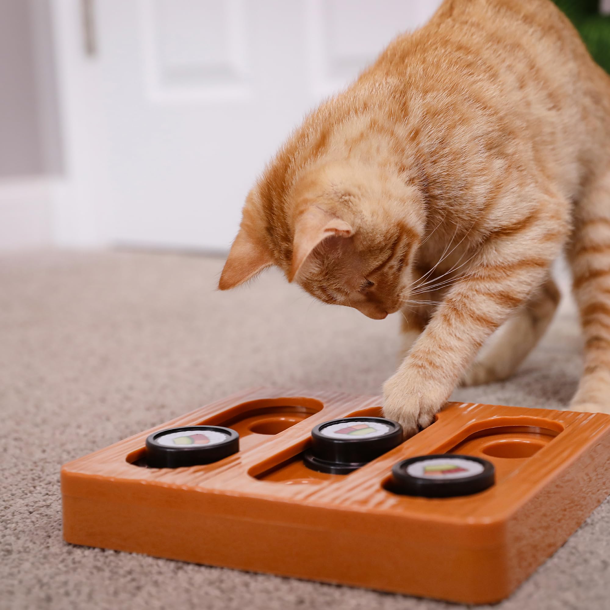 Quirky Kitty Sushi Hunter Bento Box Puzzle - Interactive Treat Puzzle Toy with Catnip Packet for Mental Engagement and Slow Feed