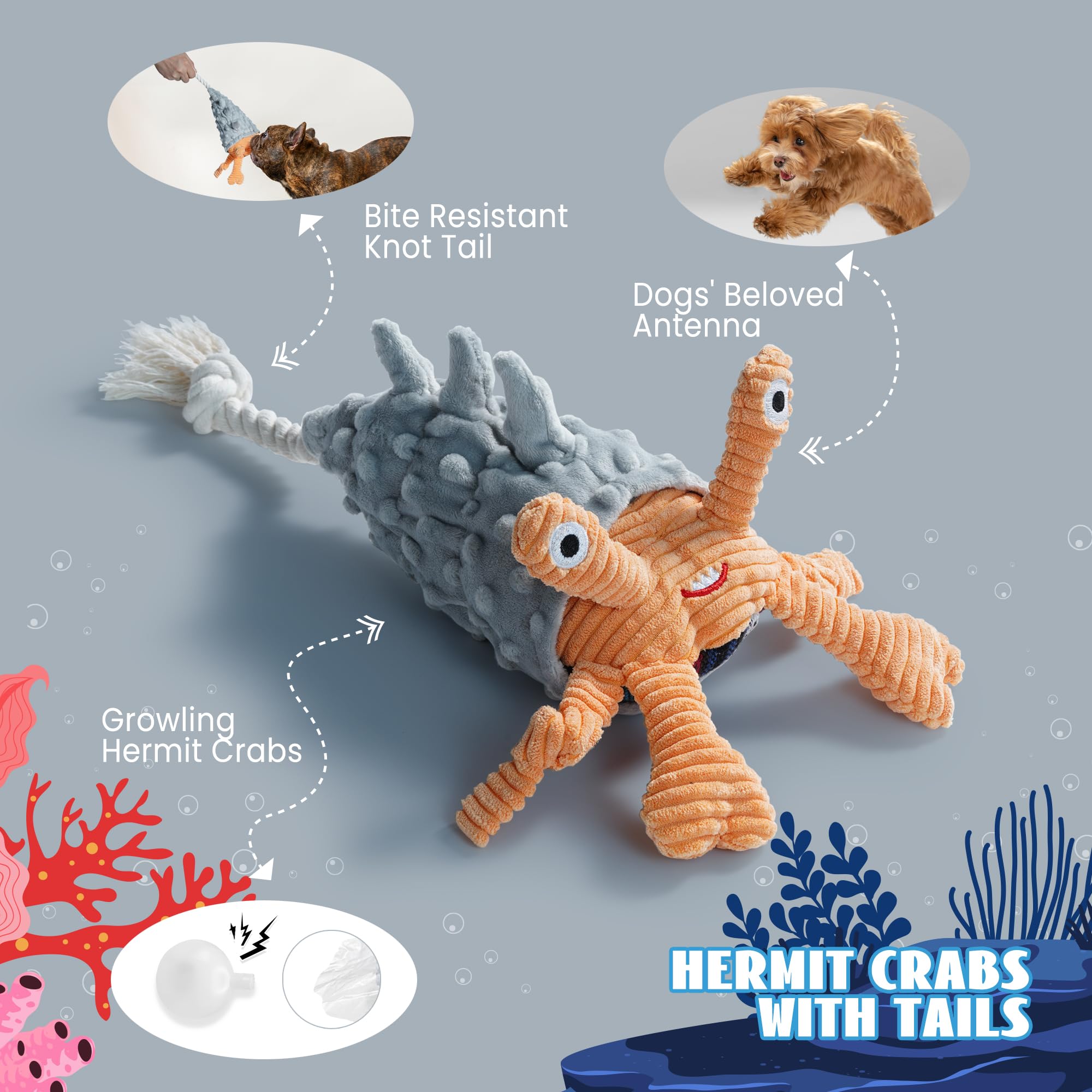 Nocciola Crinkle Squeaky Dog Toys - 4 Pack Plush Rope Tug, Durable Chew Toys for Small to Large Breeds, Ocean Series