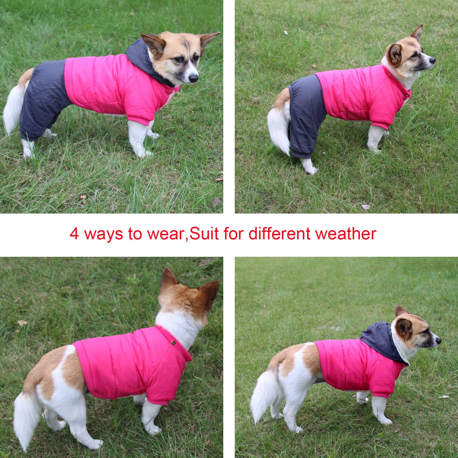 Joydaog Fleece Lined Dog Coat With Detachable Hood And Detachable Hind Legs,Warm Puppy Jacket In Winter(Blue S)