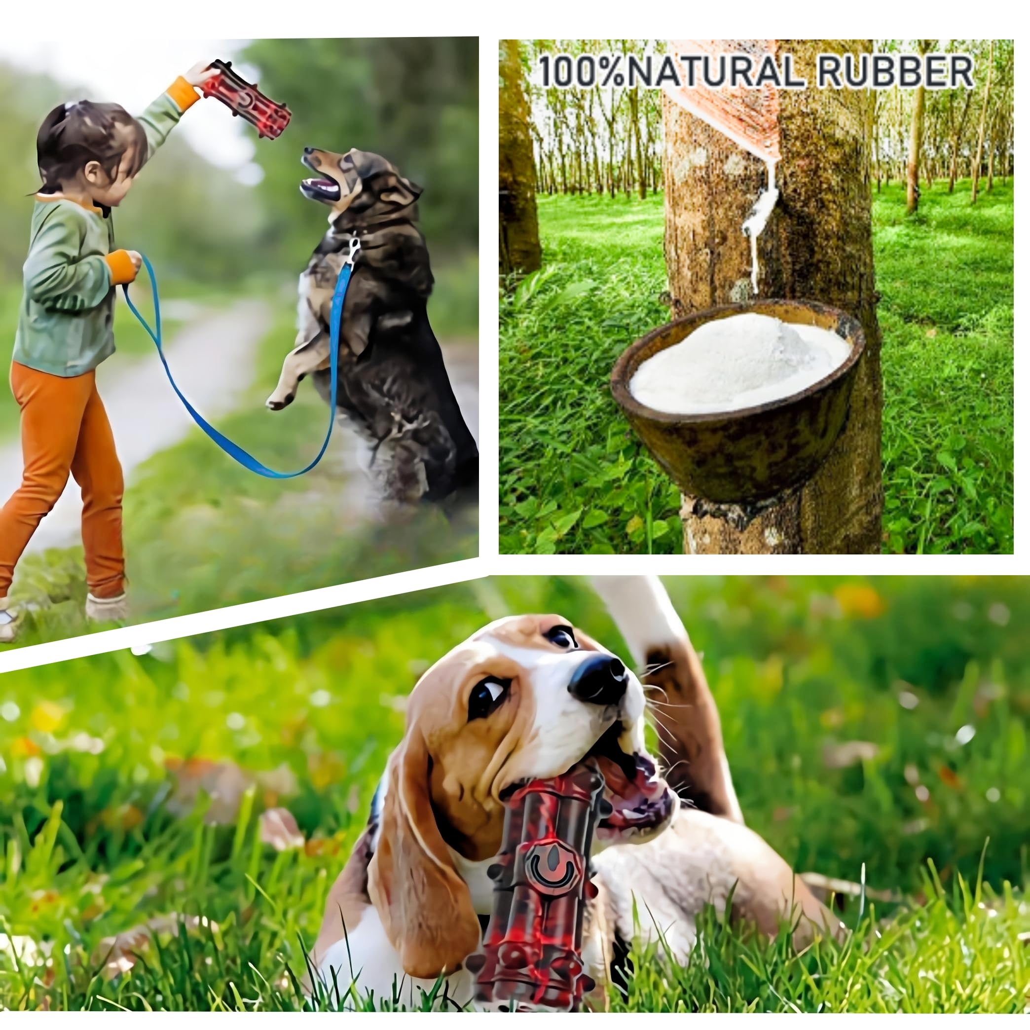 Homipooty Dog Toy For Aggressive Chewer Large Medium Breed, Indestructible Super Dog Chew Toys Squeaky Dog Birthday Toy Dog Toothbrush Interactive Tough Durable Dog Toys