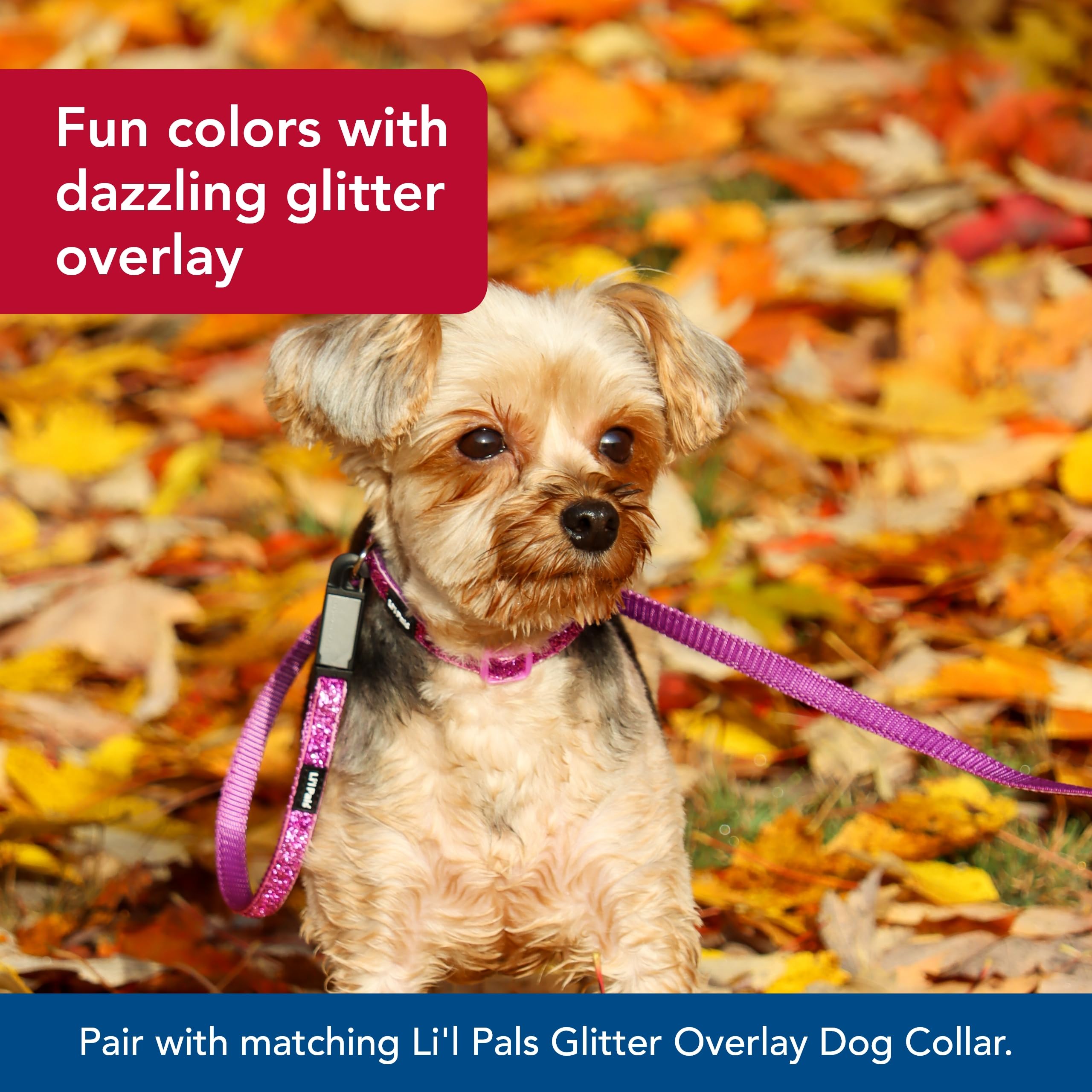 Coastal Pet Li'l Pals Dog Leash with Glitter Overlay - For Walking Small Pets - Ensures Comfortable Stroll - Lightweight Leash w