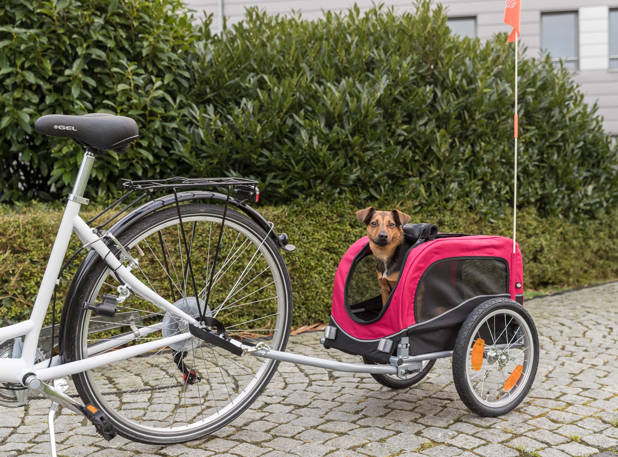 Trixie Dog Trailer For Bicycles, Dog Bike Trailer For Small Dogs Up To 33 Lbs, Quick Set-Up And Fold Down, Red