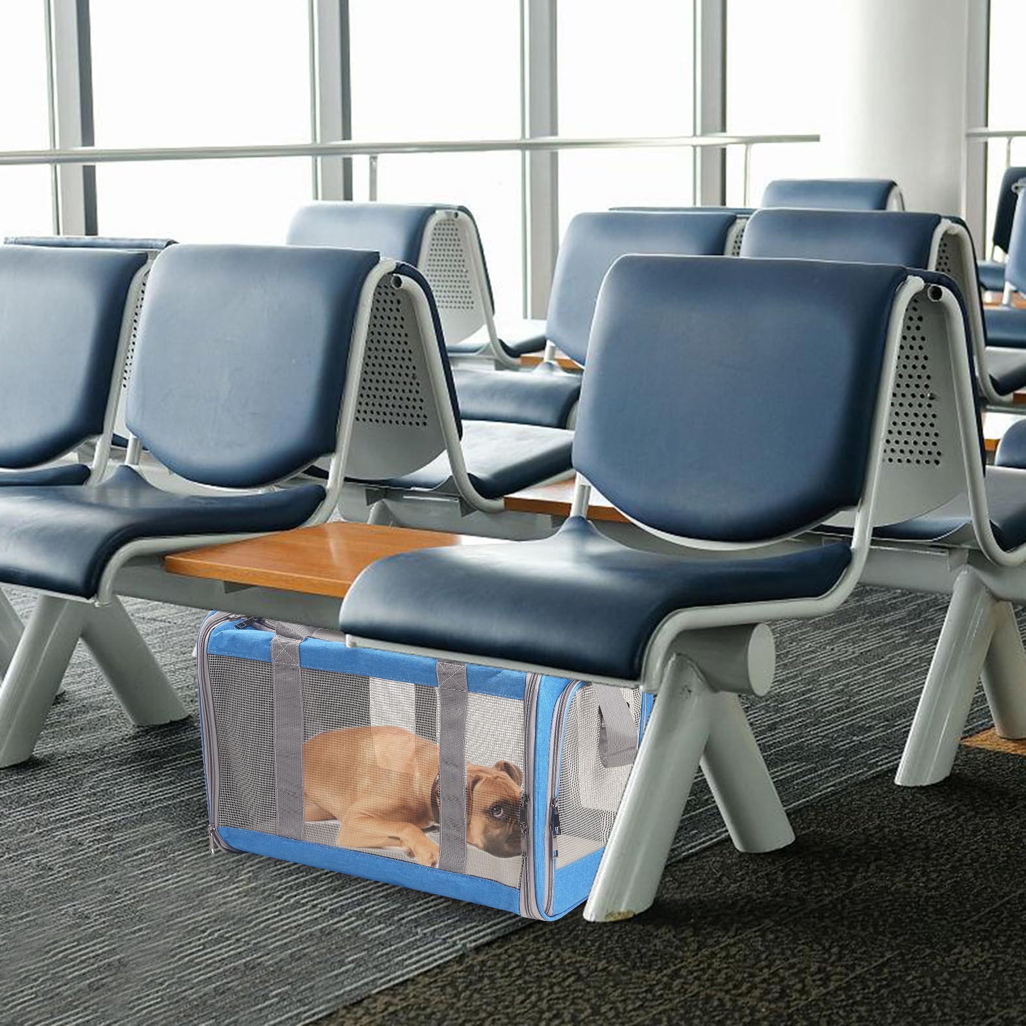 Atvobi Portable Cat Carrier For Small To Large Cats - Soft, Airline Approved, Blue