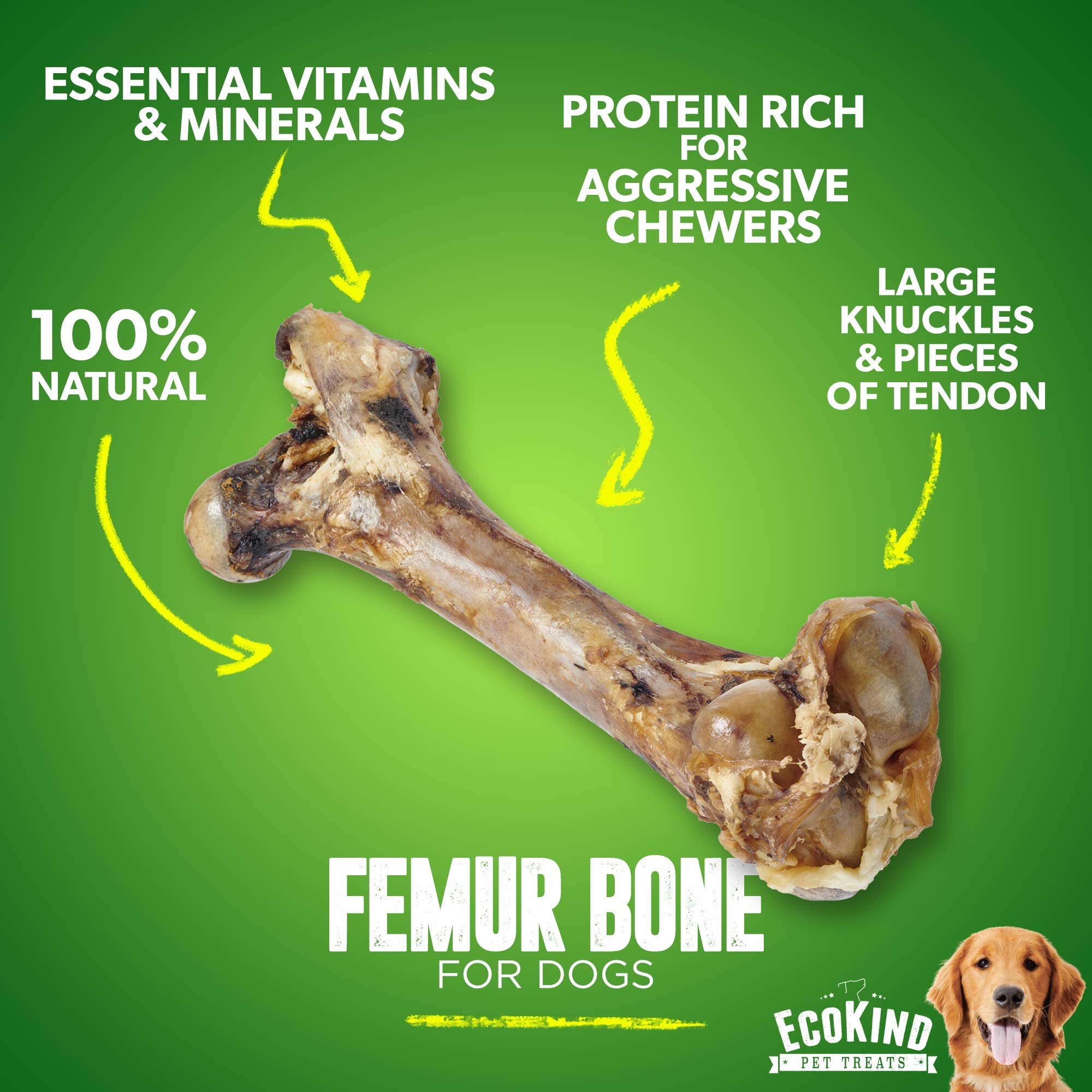 EcoKind Dog Bone Giant Femur Bone for Dogs | 1 Bone | Long Lasting Mammoth Dog Bones for Aggressive Chewers, Rawhide Free Health