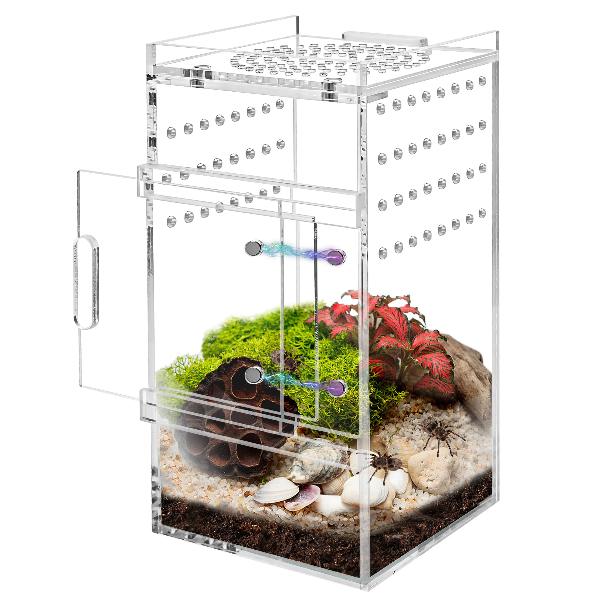Zhaoyao Acrylic Jumping Spider Enclosure Tarantula Enclosure, Full Transparency Spider Enclosure Spider Terrarium Jumping Spider