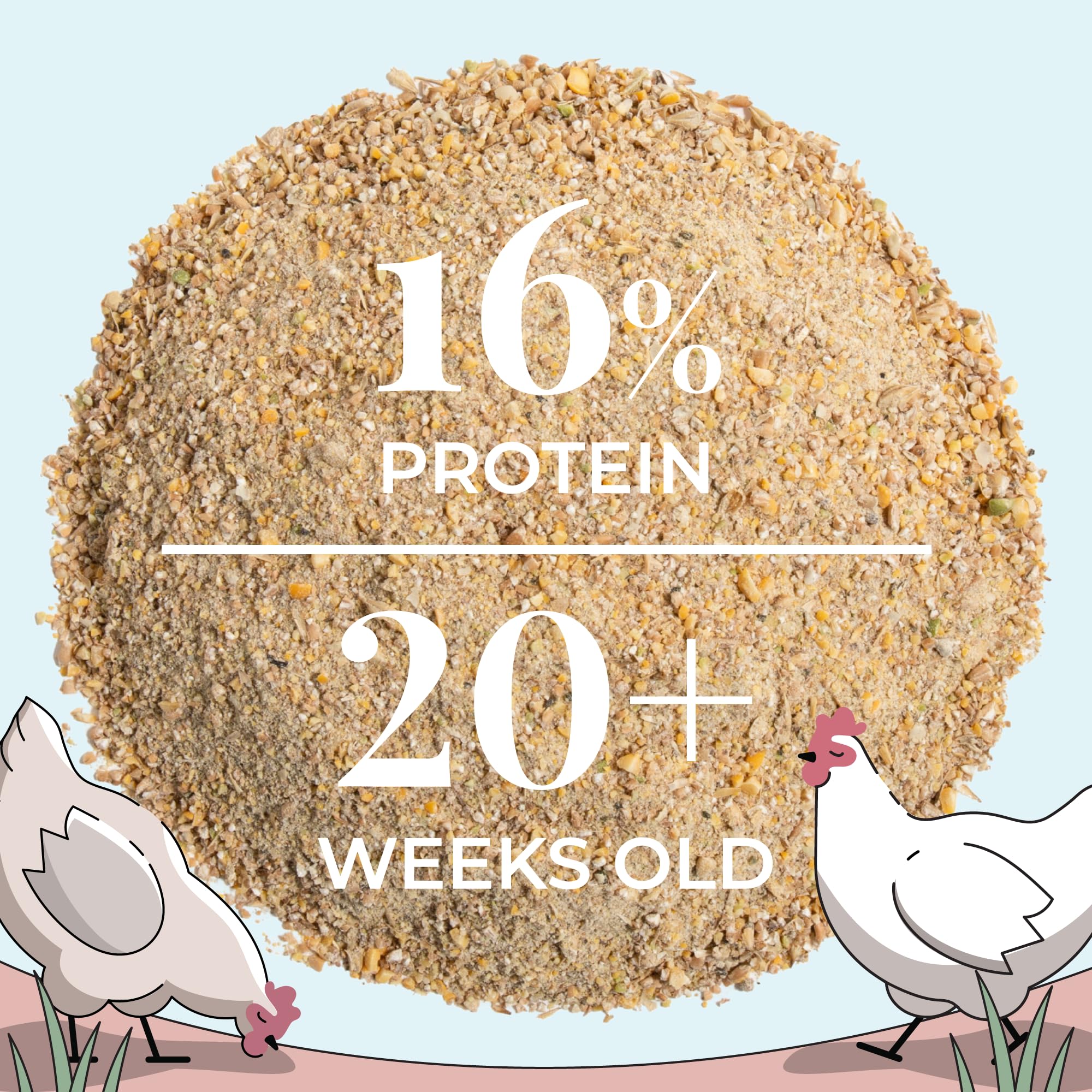 Mile Four Layer Organic Chicken Feed | 16% Protein | Mash | Certified Organic, Non-GMO, Corn-Free, Soy-Free, Non-Medicated, US G