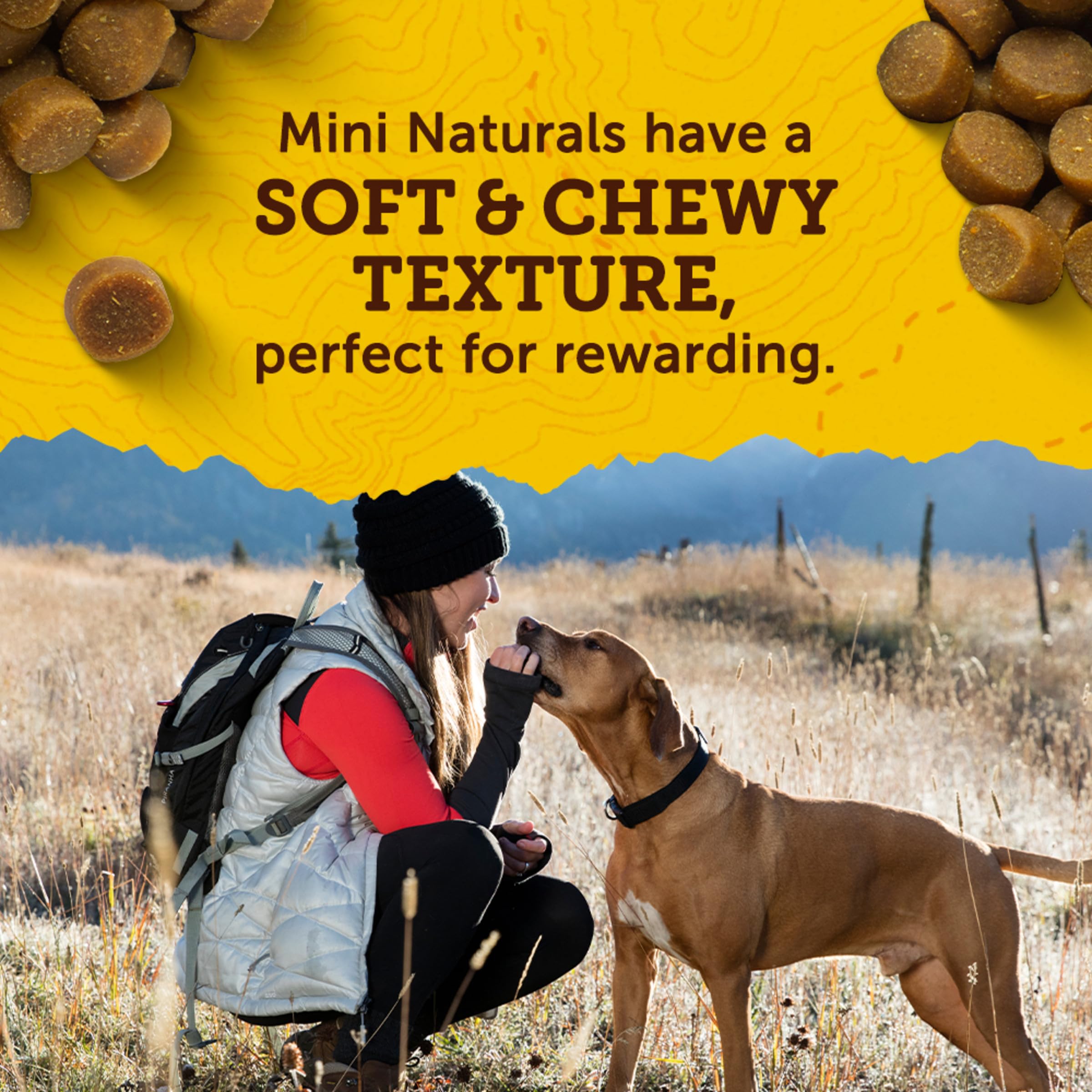 Zukes Mini Naturals Dog Training Treats for Dogs of All Sizes, Pet Treats made with Real Duck,16 oz. Resealable Pouch - 16 oz. B