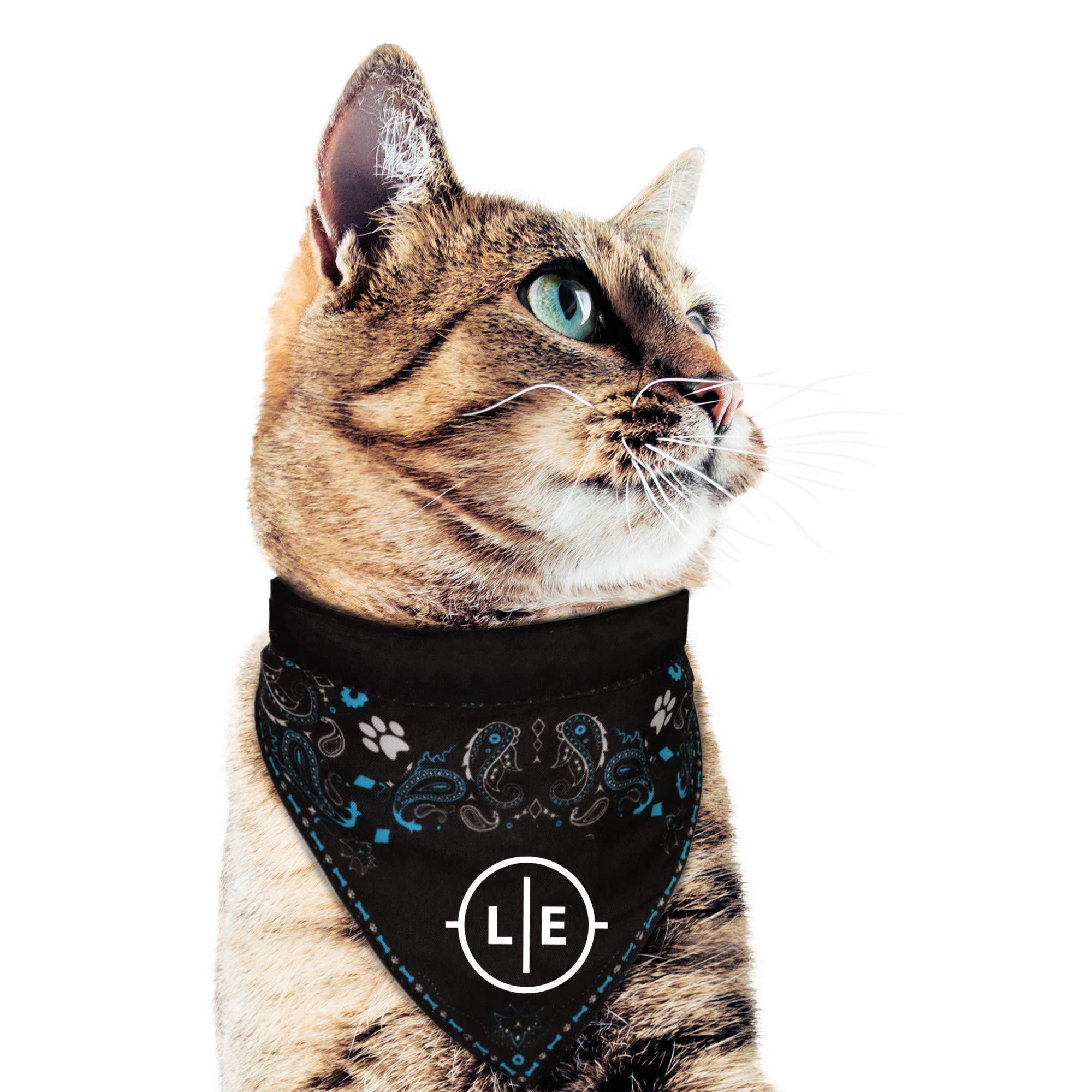 Littlearth Unisex-Adult Nfl Cincinnati Bengals Pet Bandana, Team Color, X-Large