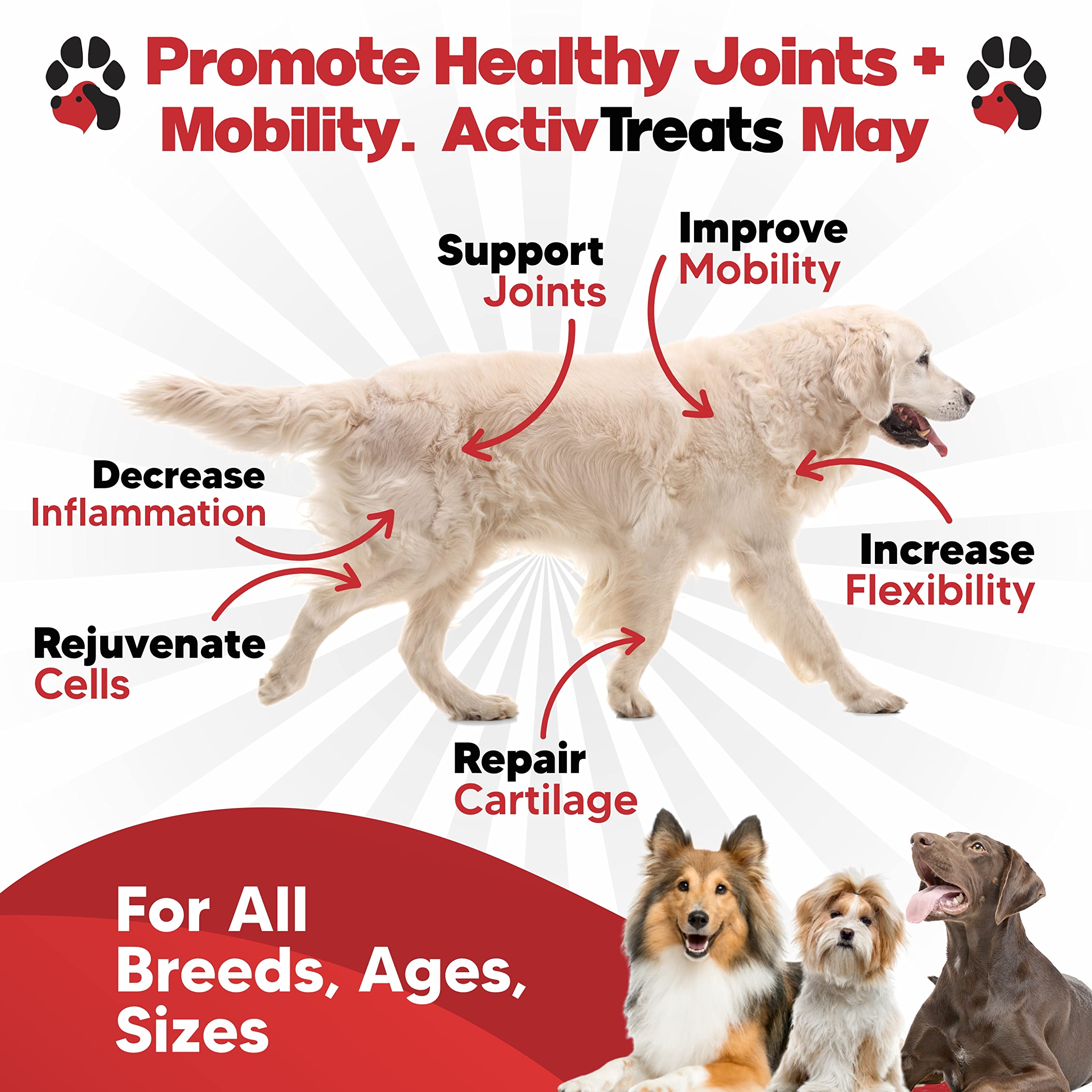 Glucosamine for Dogs Hip and Joint Supplement - Safe Joint Support for Dogs - Dog Joint Supplement with Glucosamine Chondroitin