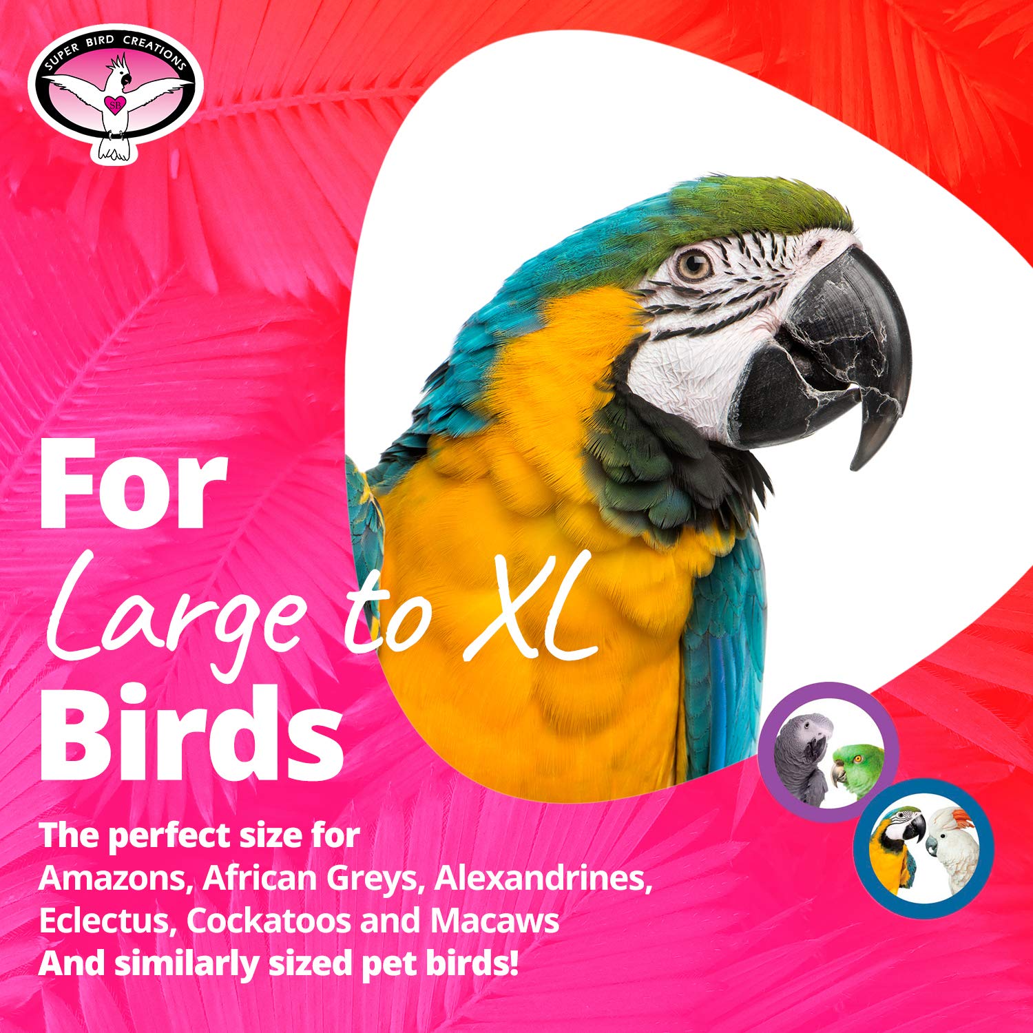 Super Bird Creations - Sb325 Large To Xl Bungee Bird Toy - Rope Perch For Amazons, African Greys, Cockatoos, Parrots - Colorful Hanging Perch - Enriching Bungee Toy For Large/Xl Birds & In Bird Cages