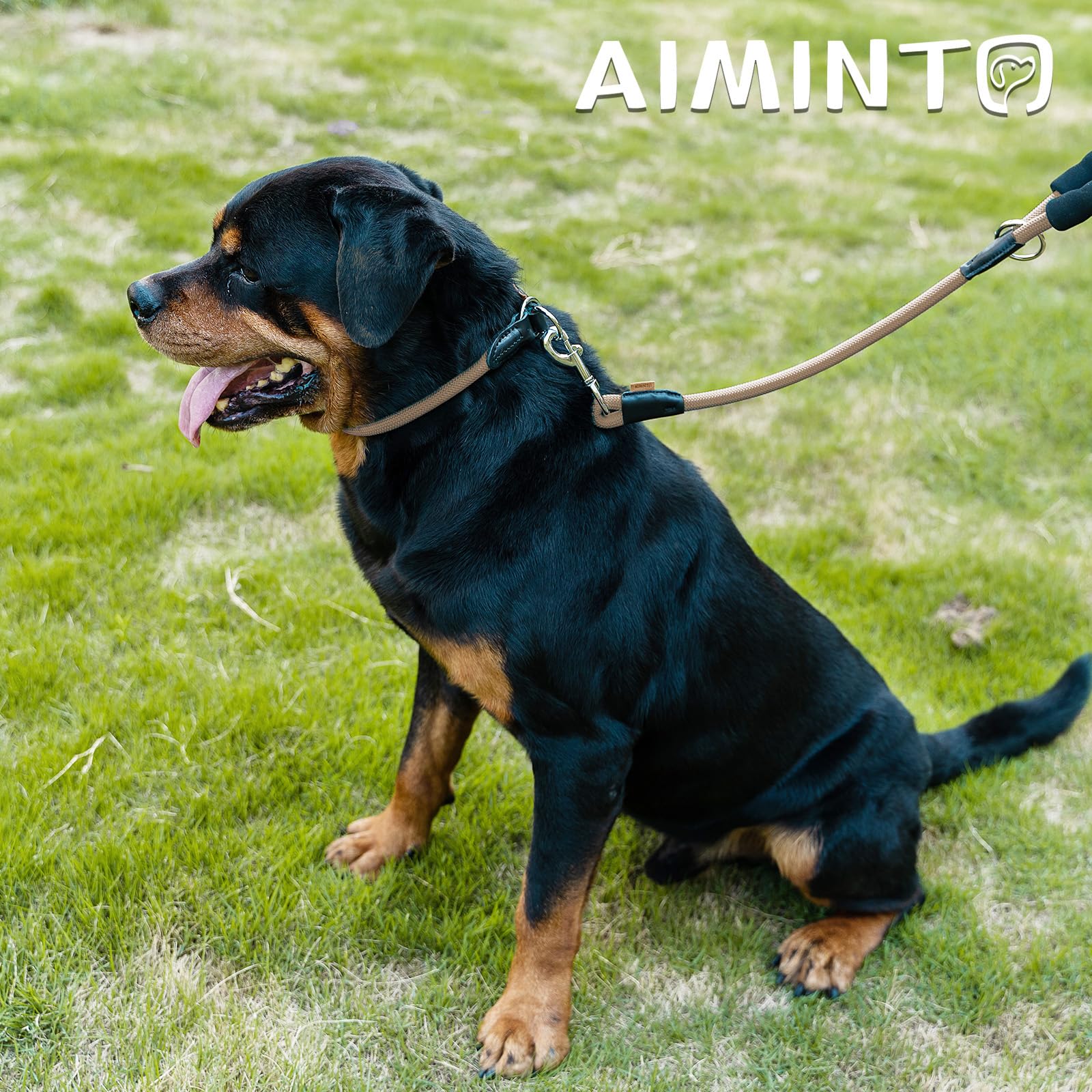 Aiminto Dog Leash, Braided Rope Traction - Walking Training Lead for Small Dogs ((1/3 '') x 6FT, Khaki)