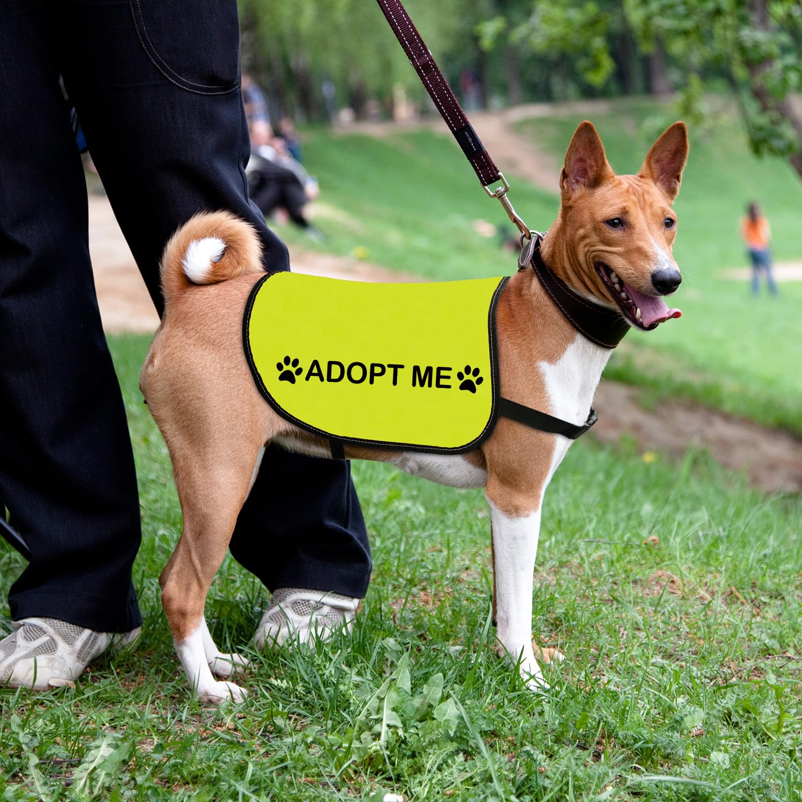 Rescue Dog Jacket Vest Adopt Me Pet Vest Foster Dog Slogan Vest (Adopt Me-Large)