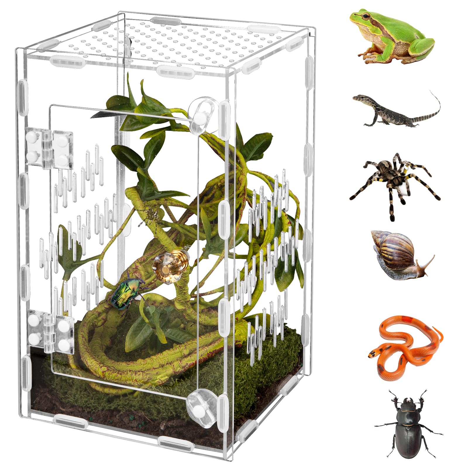 Acrylic Reptile Terrarium Easy Assembly, 360 Clear & Keep Pet Secure Design For Jumping Spiders, Tarantulas, Geckos Scratch-Resi