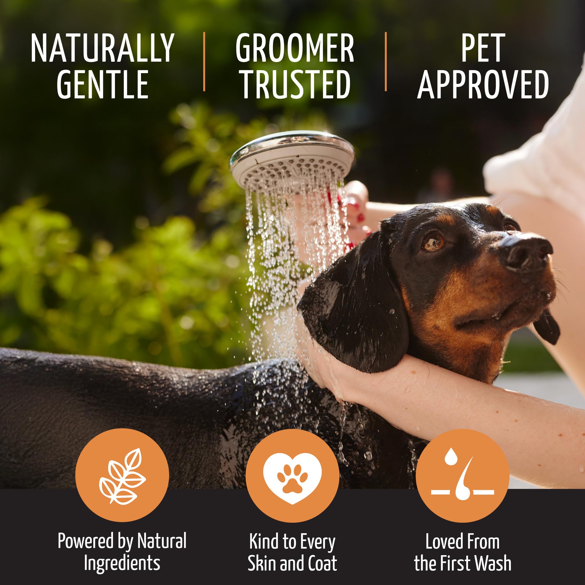 Moisturizing Dog Conditioner 5In1 - Allergy Dog And Cat Shampoo, Sulfate Parabens Sls Free Natural Composition Grooming Product