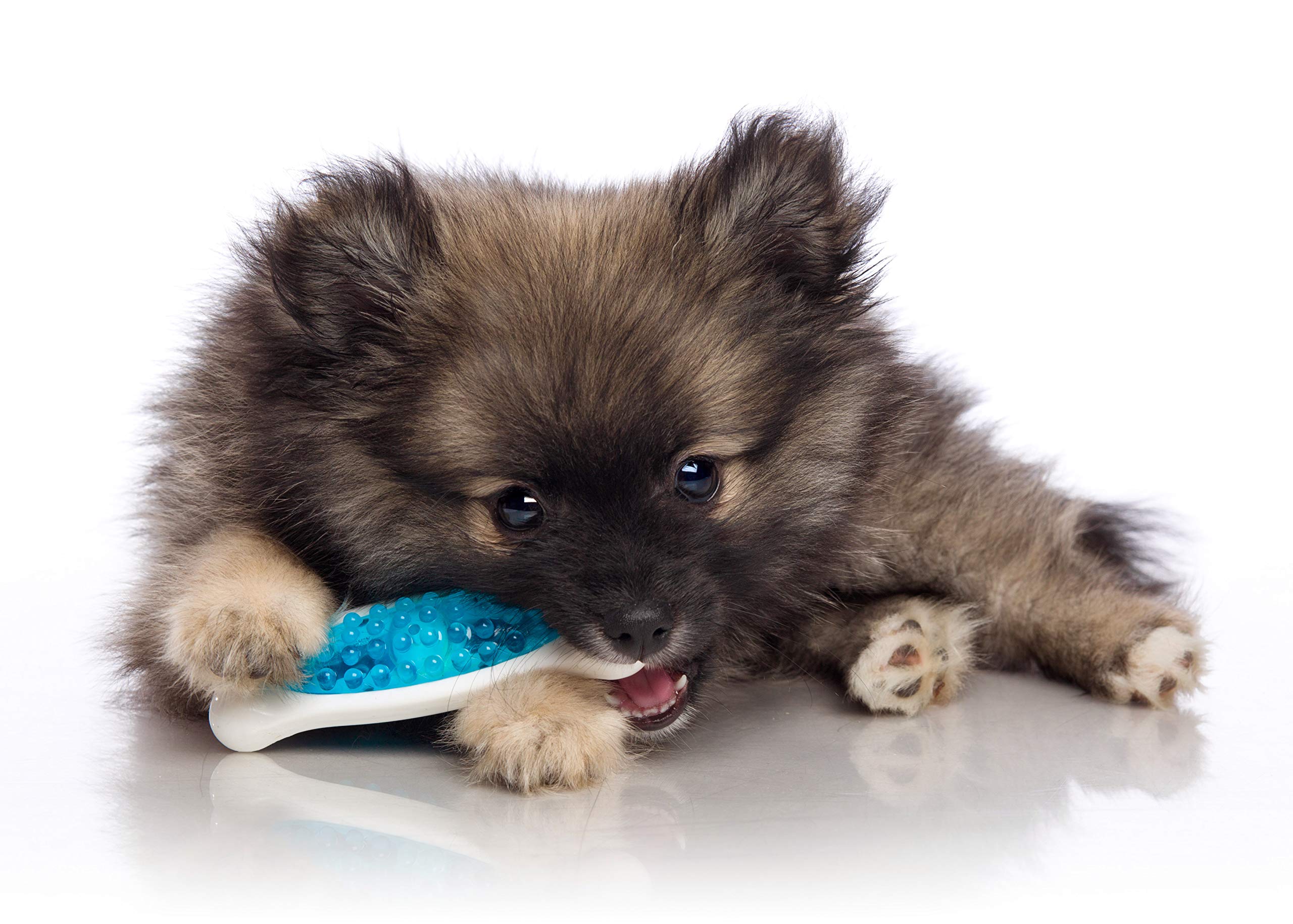 Hartz Chew 'N Clean Tuff Bone Bacon Scented Dental Dog Chew Toy - Small