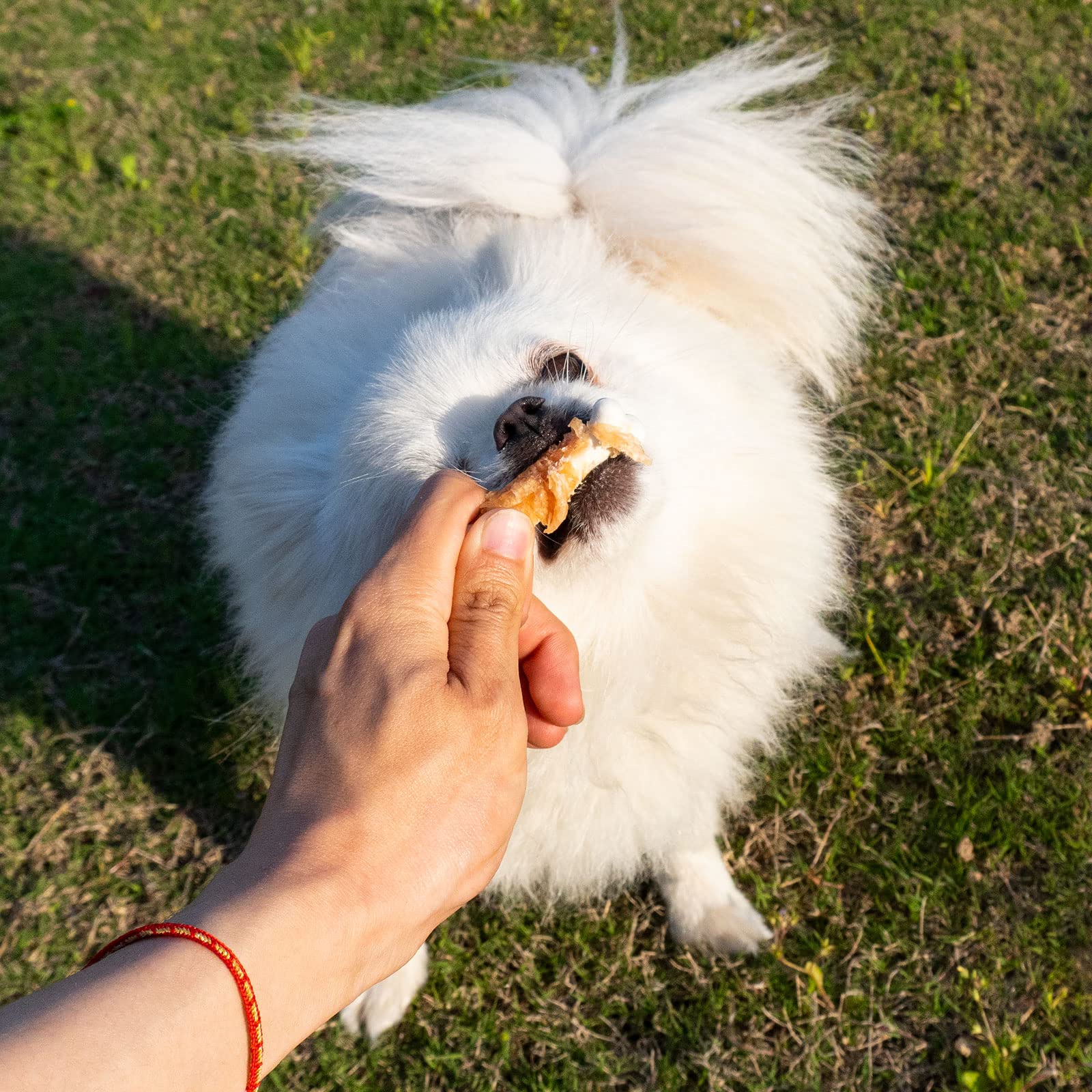 MON2SUN Dog Treats, Chicken Wrapped Calcium Bones Without Rawhide, 2.3 Inch Training Treats for Teeth Cleaning and Fresh Breath,