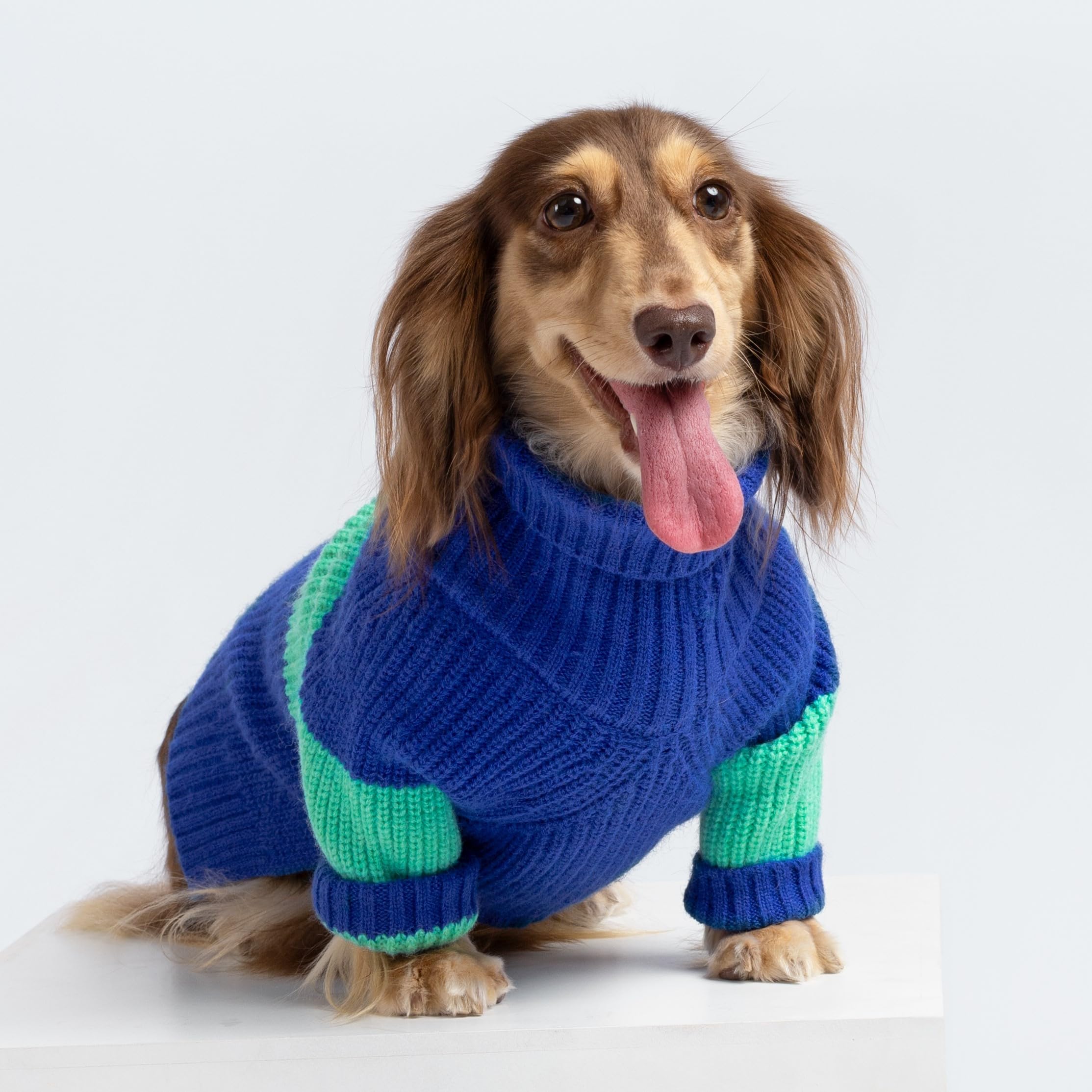 Fitwarm Color Block Dog Sweater, Thermal Dog Winter Clothes For Small Dogs Boy Girl, Soft Turtleneck Sweater For Dog, Pet Outfit