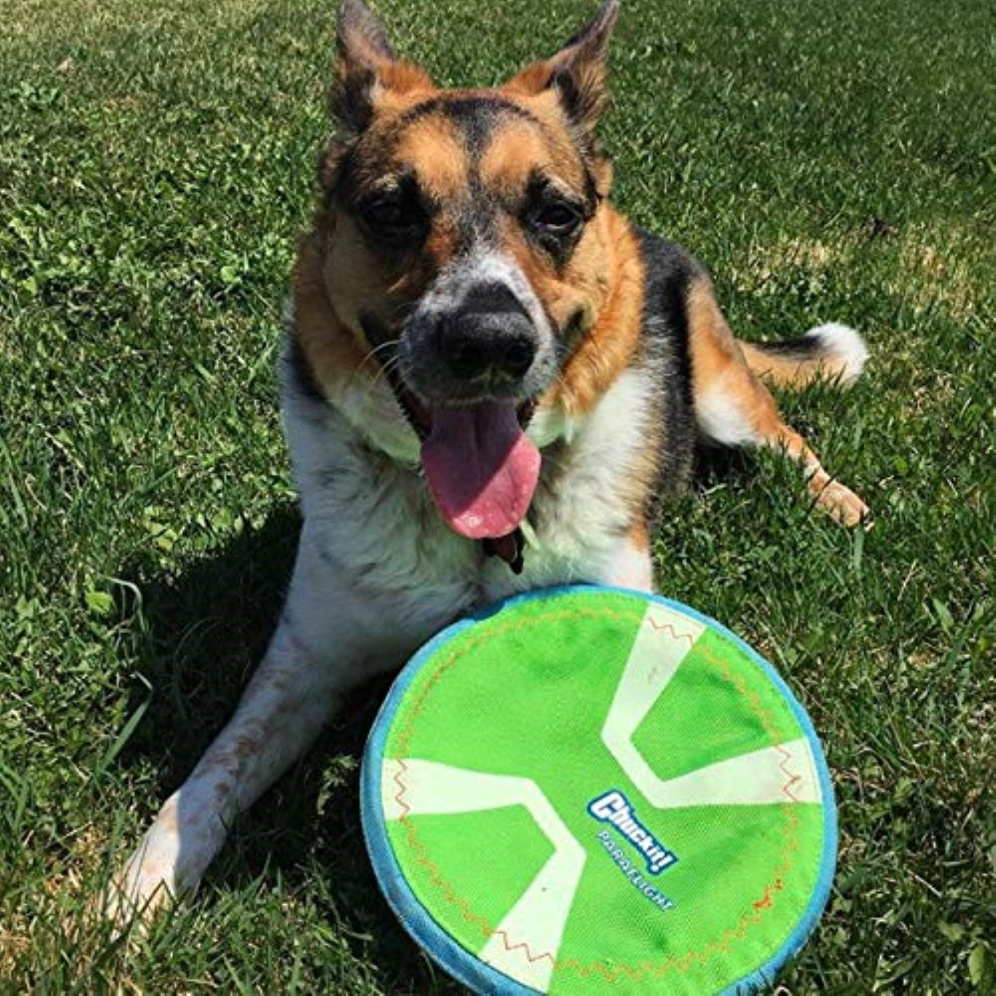 Chuckit! Max Glow Paraflight Flying Disc Dog Toy - Water Floating Flyer - Durable Nylon Construction With Soft Rubber Edges - For Medium And Large Dogs - Size Large - 9.75' L X 9.75' W - Pack Of 1