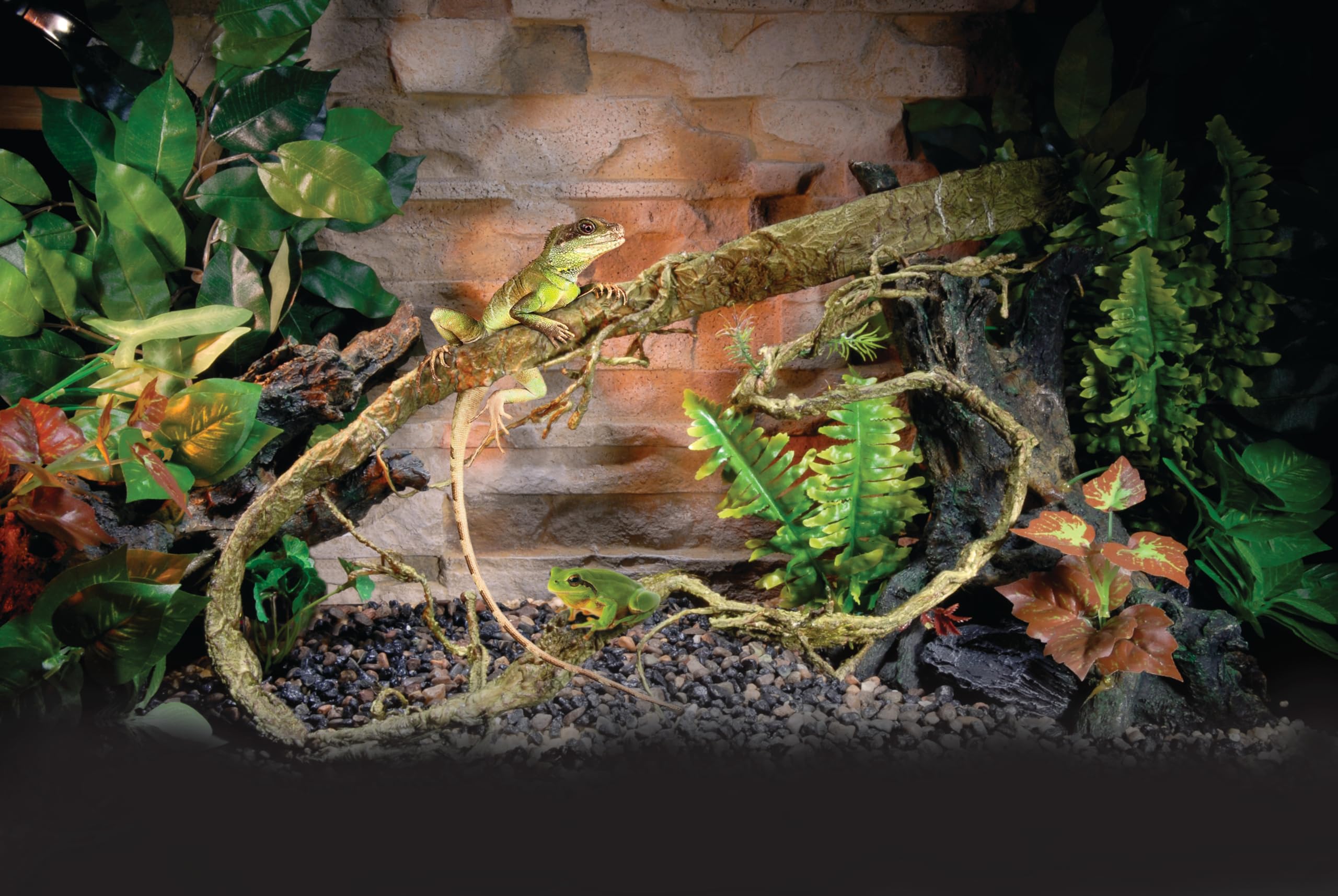 Penn-Plax Flexible Climbing Vines for Reptiles and Amphibians | Multiple Options| Great for Any Terrarium Decor (5 Brown)