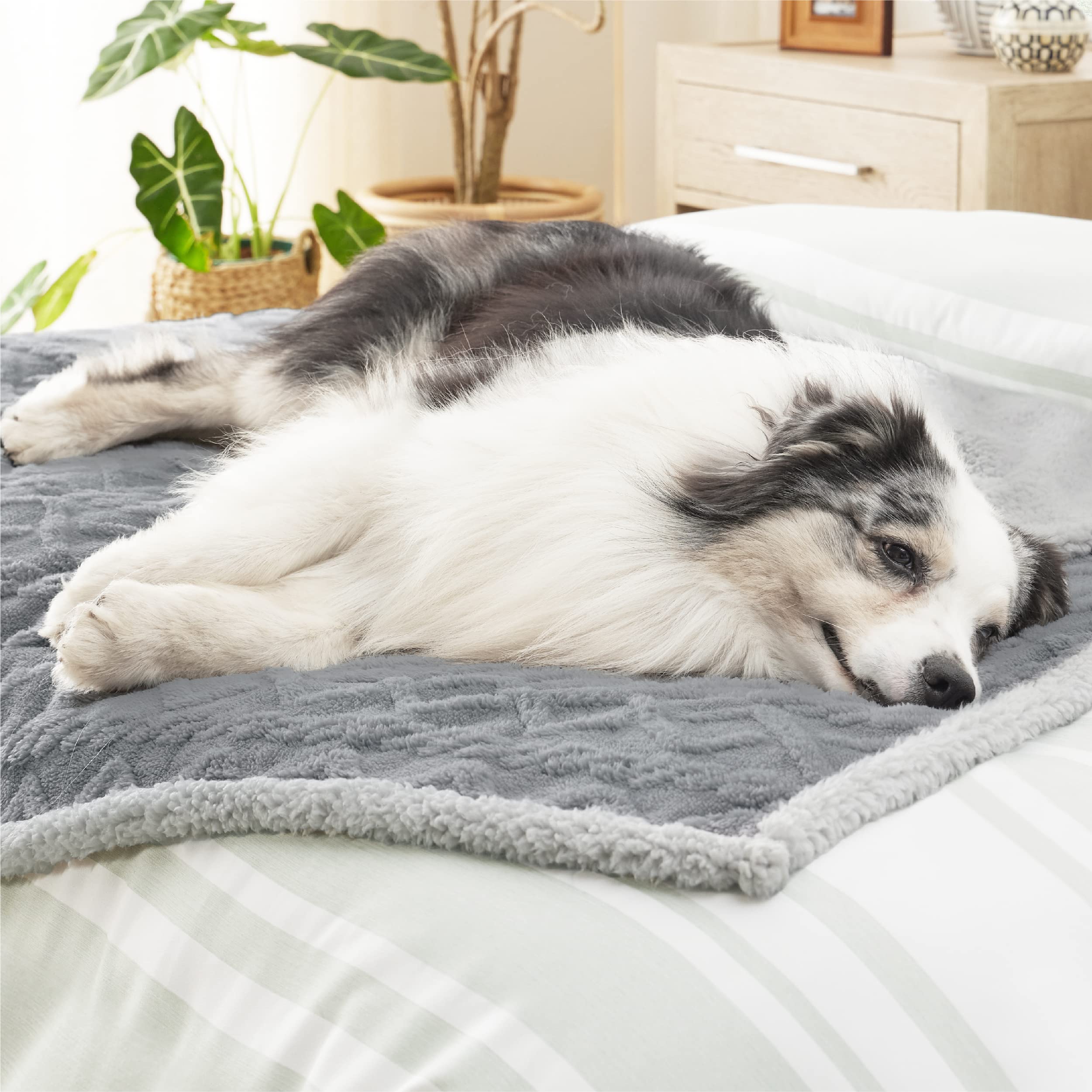 Bedsure Waterproof Dog Blankets For Large Dogs - Pet Blanket For Couch Protector Washable, Premium Jacquard Coral Fleece Cat Thr