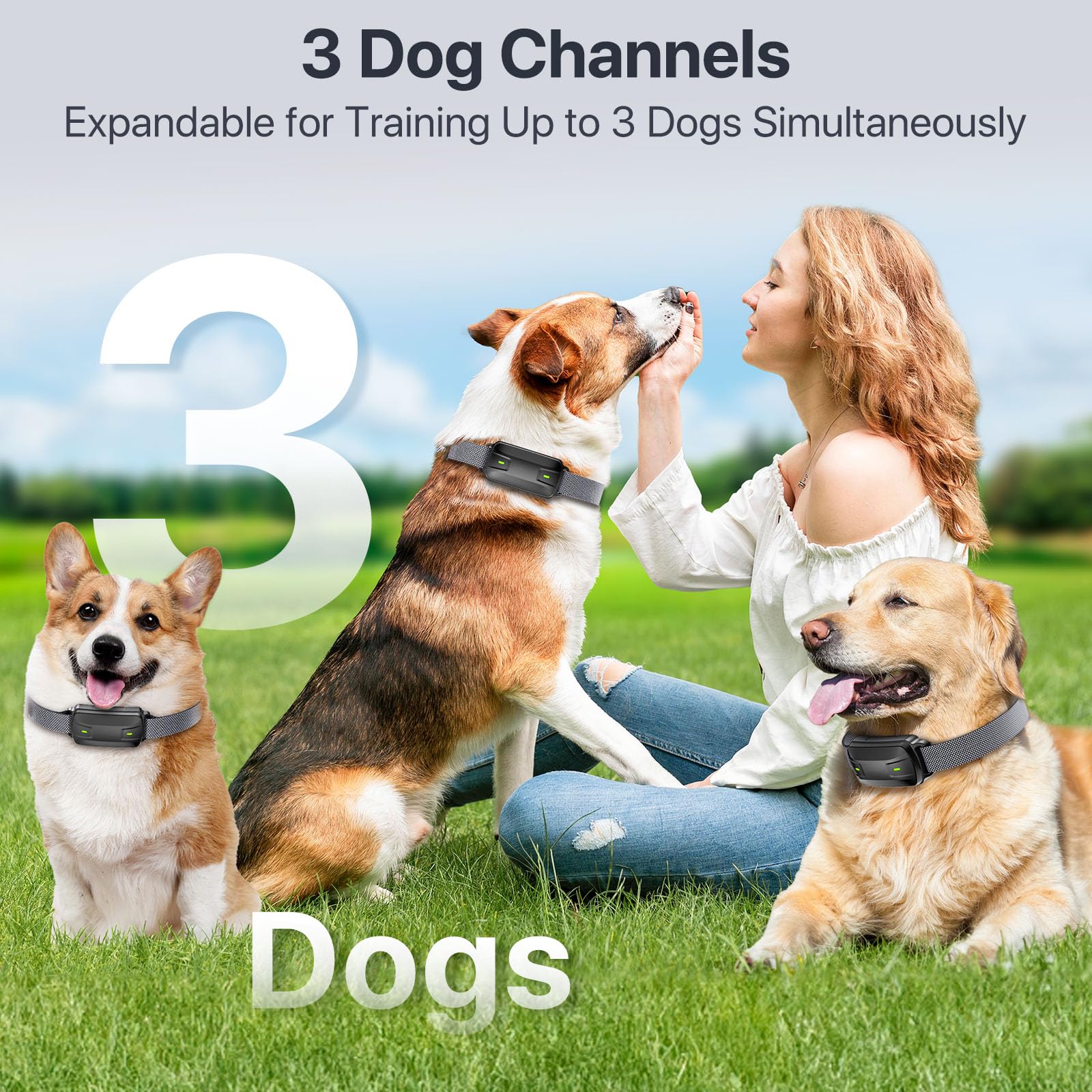 Dog Shock Collar with Remote Control, Dog Training Collar for Large Medium Dogs 40-120lbs Waterproof, Shock Collar for Dogs with