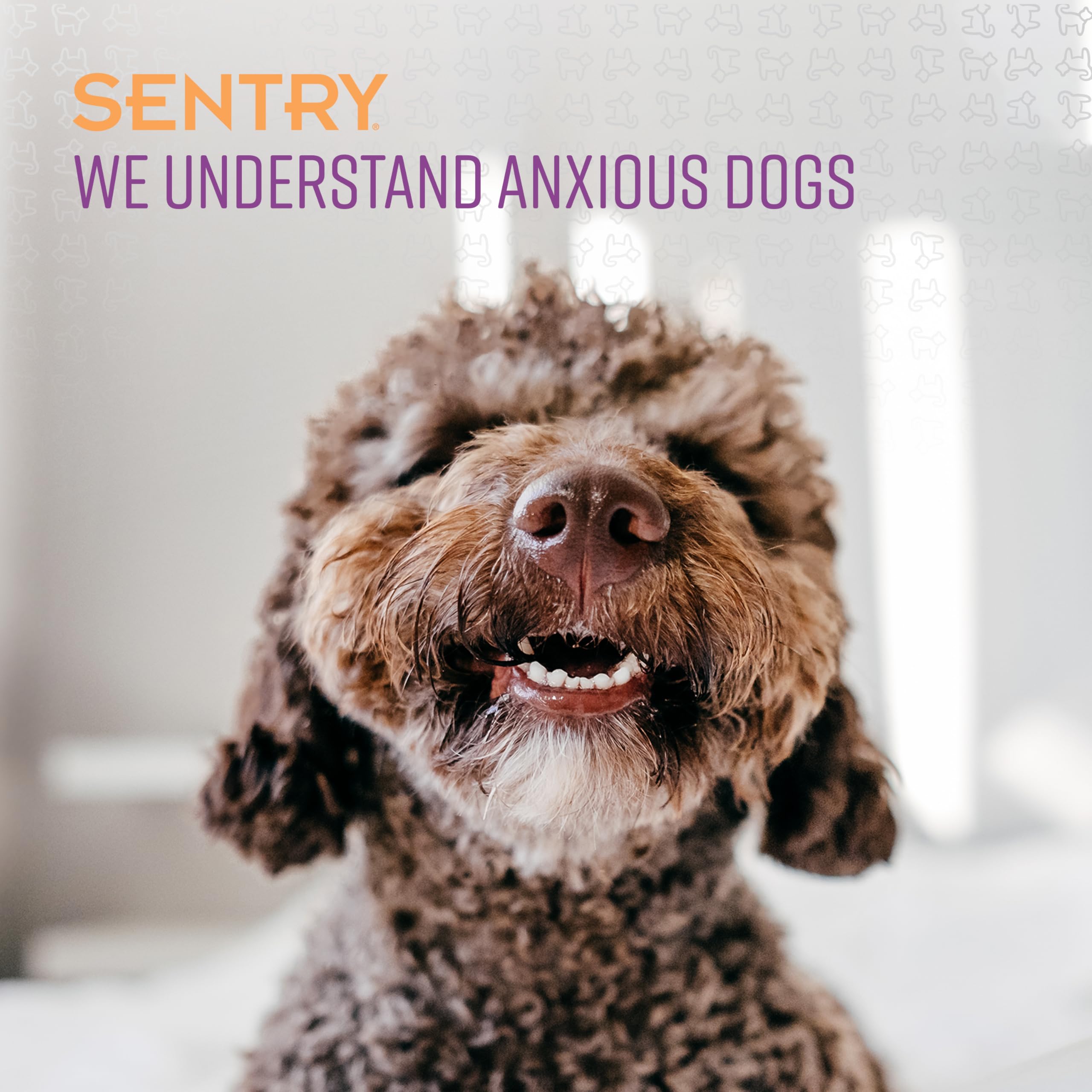 SENTRY PET CARE Sentry Calming Collar For Dogs, Anxiety Reducing Pheromone Collar, Releases Pheromones for 30 Days, Helps Calm D