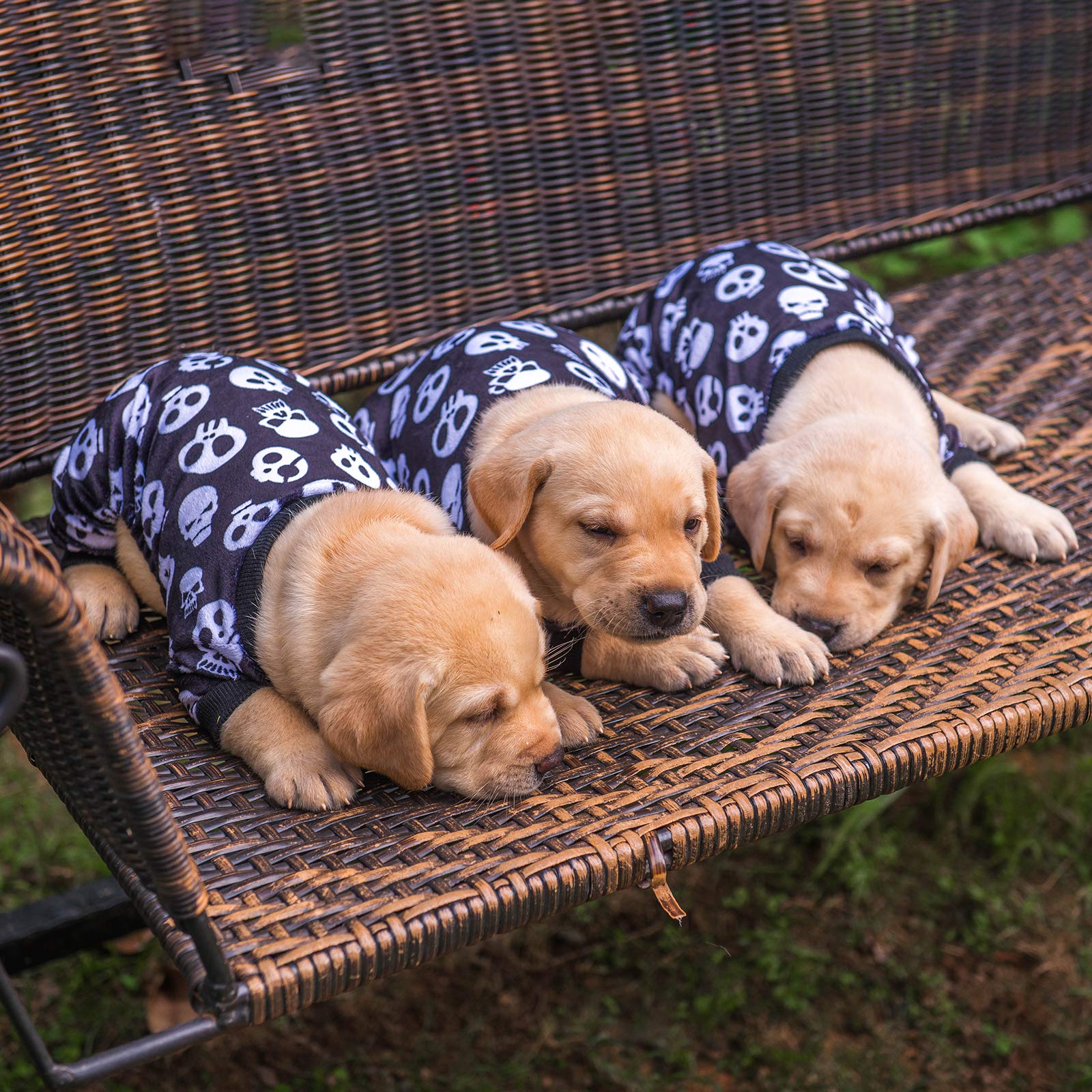 Cutebone Halloween Dog Pajamas Costume Skull Shirt Jumpsuit Pet Bodysuit For Xs Doggie Onesies P11Xs