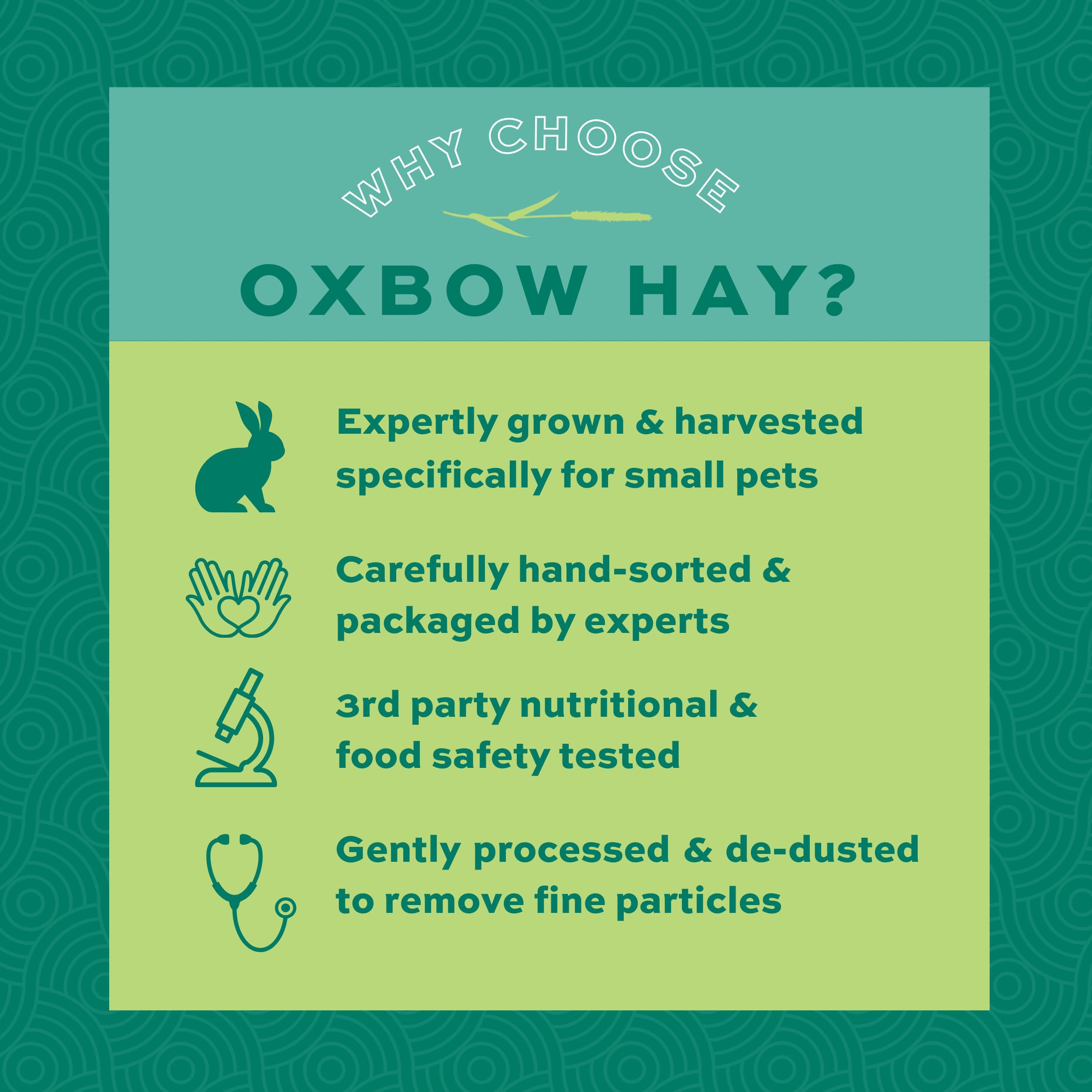 Oxbow Animal Health Western Timothy Hay- Veterinarian Recommended- Hay for Rabbits, Chinchillas, Guinea Pigs & Other Small Pets-