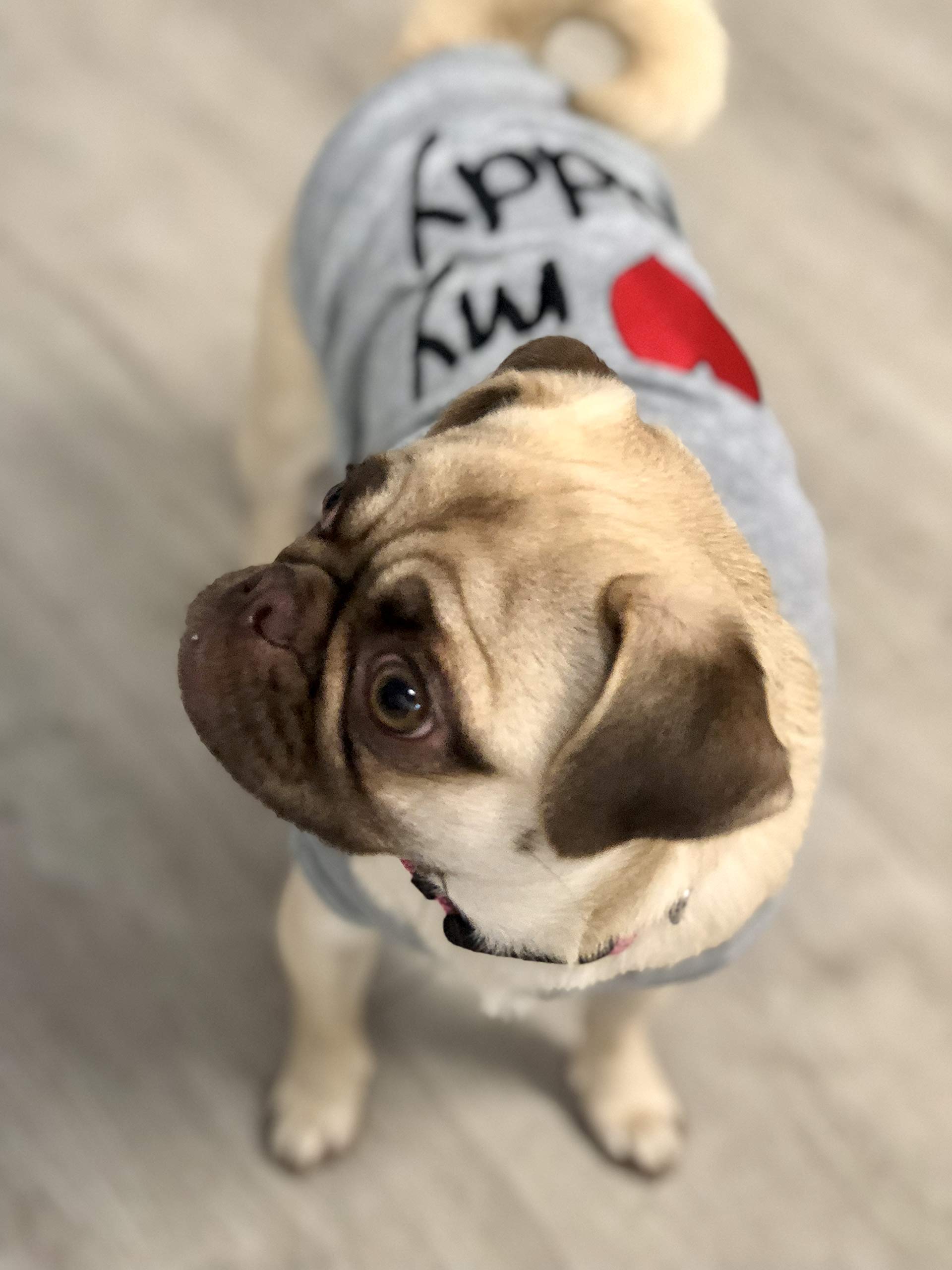 Parisian Pet Unisex Dog T-Shirt - Embroidered 'I Love My Daddy' Fathers Day Dog Tee Shirts - Breathable, Sleeveless Pet Clothes - Dog Shirt For Large Dogs - 3Xl